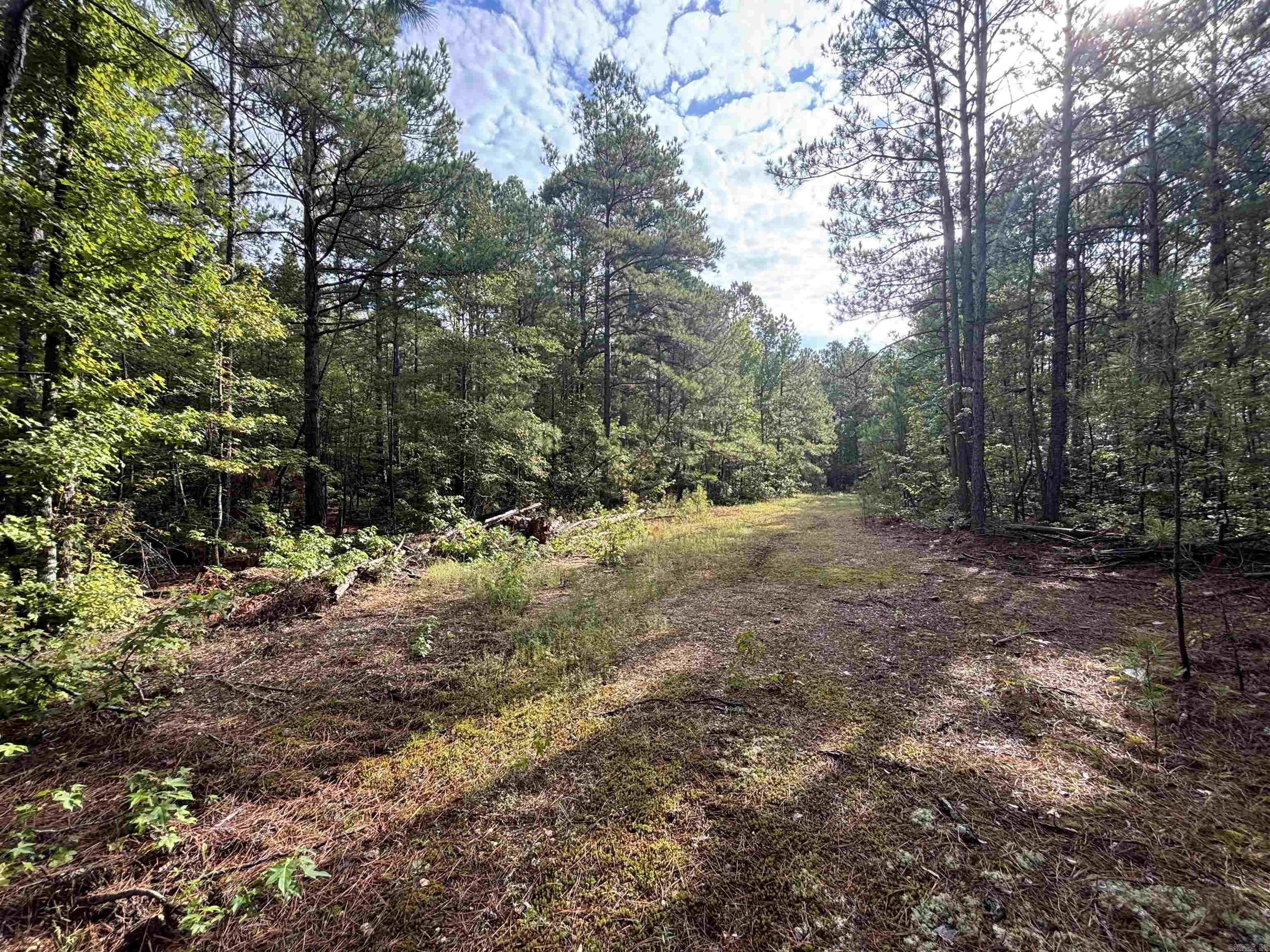 South Tract Grant County Road 68  Sheridan, AR