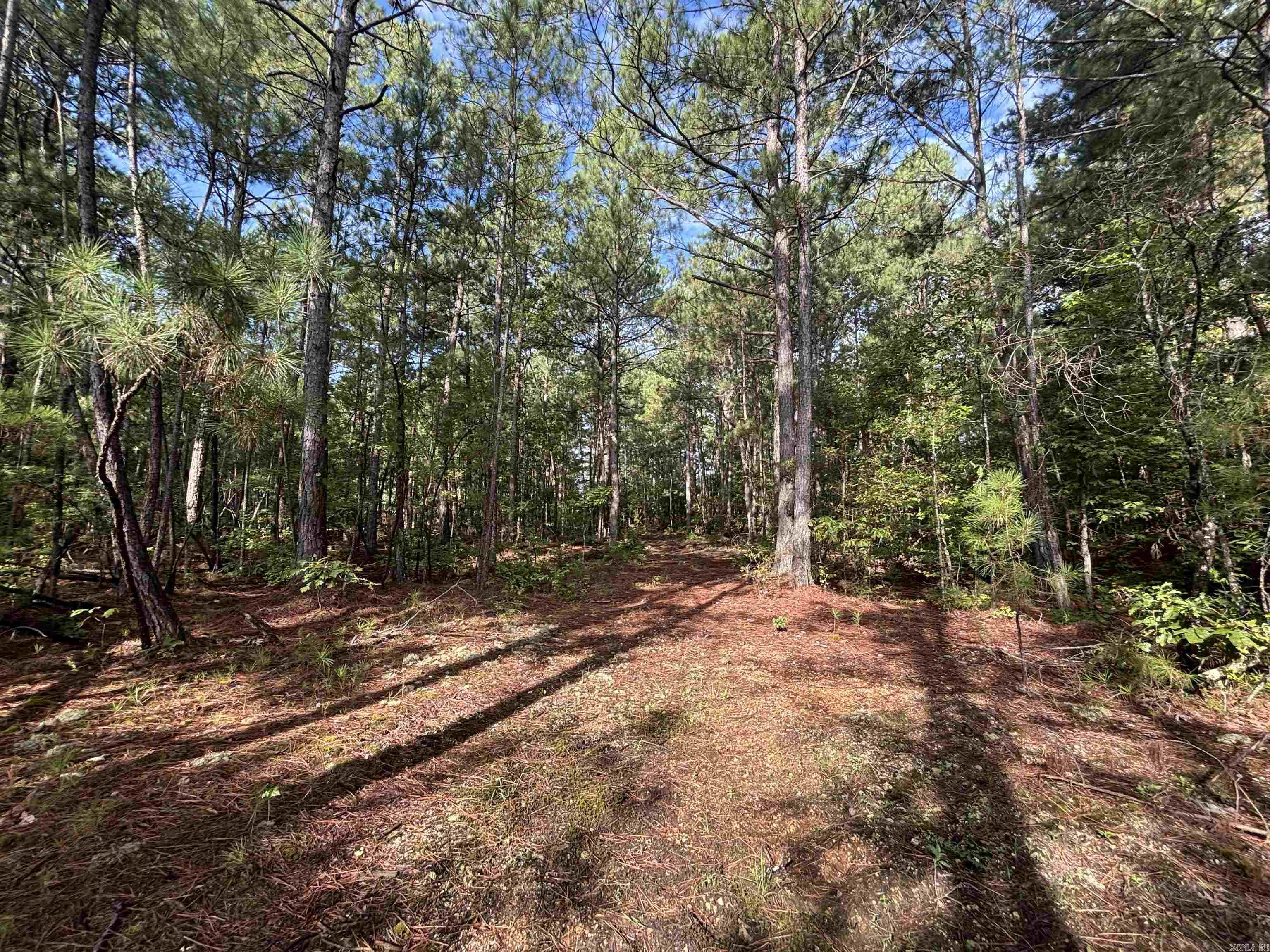 South Tract Grant County Road 68  Sheridan, AR