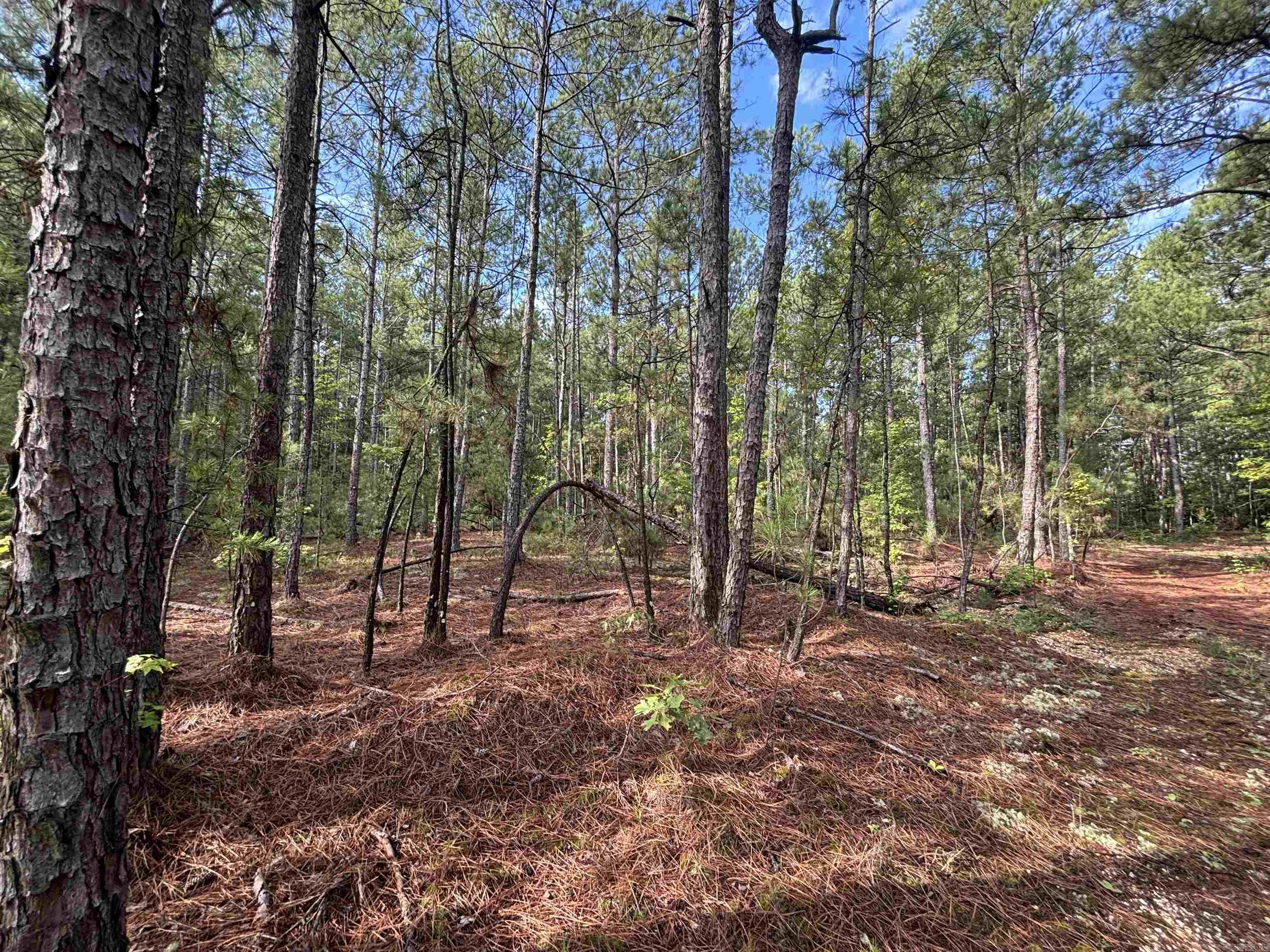 South Tract Grant County Road 68  Sheridan, AR