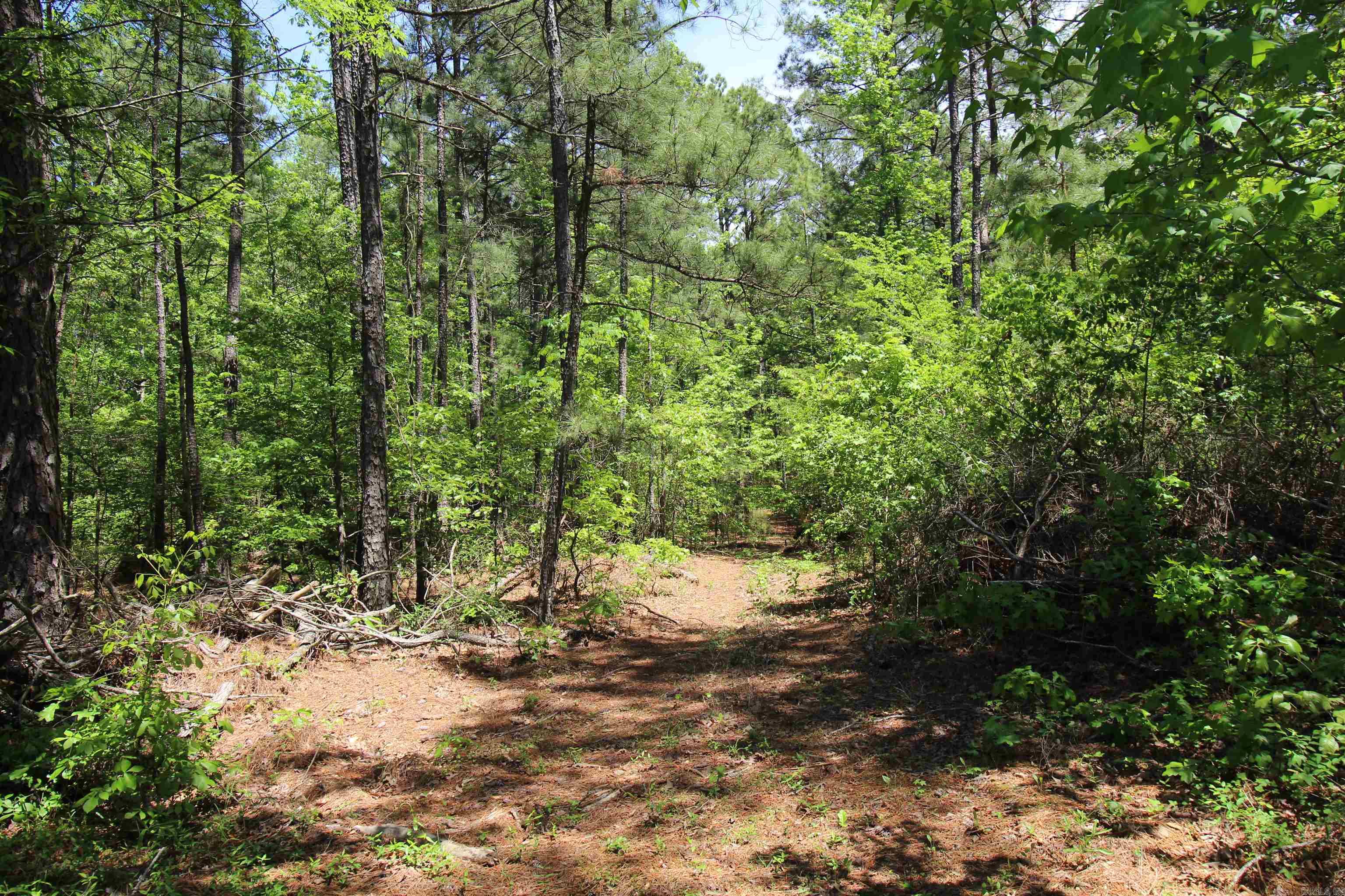 South Tract Grant County Road 68  Sheridan, AR