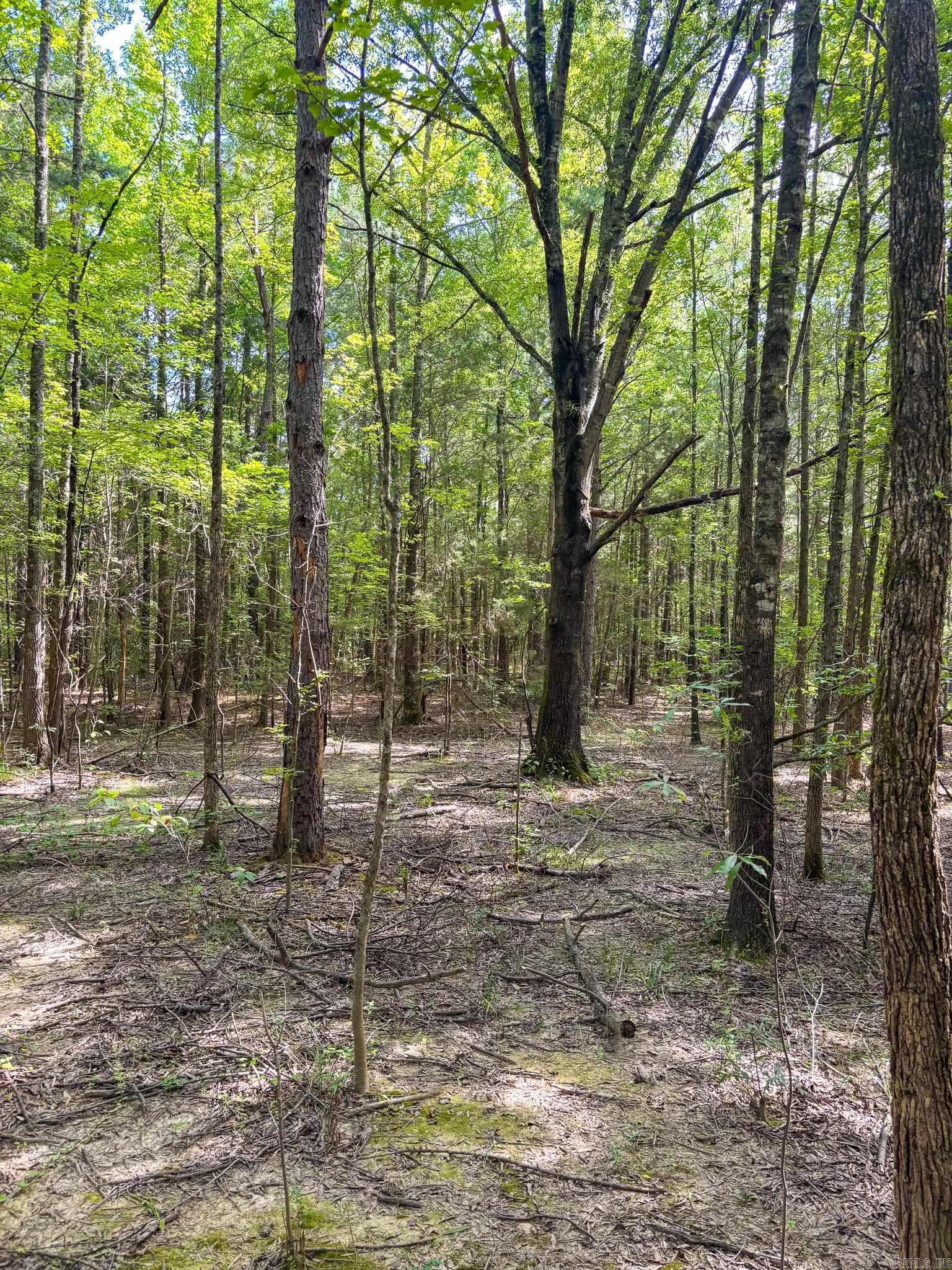  Kenneth  Houston, AR