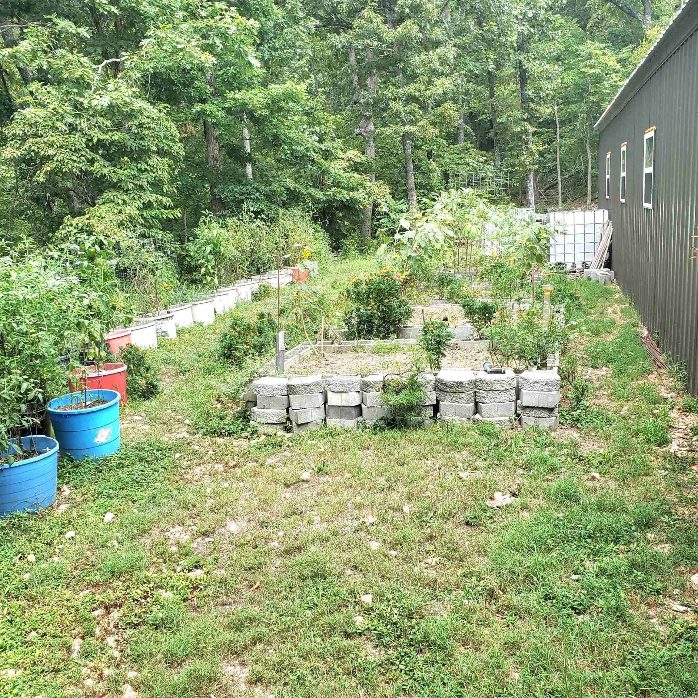 1381 Mitchell  Mountain View, AR