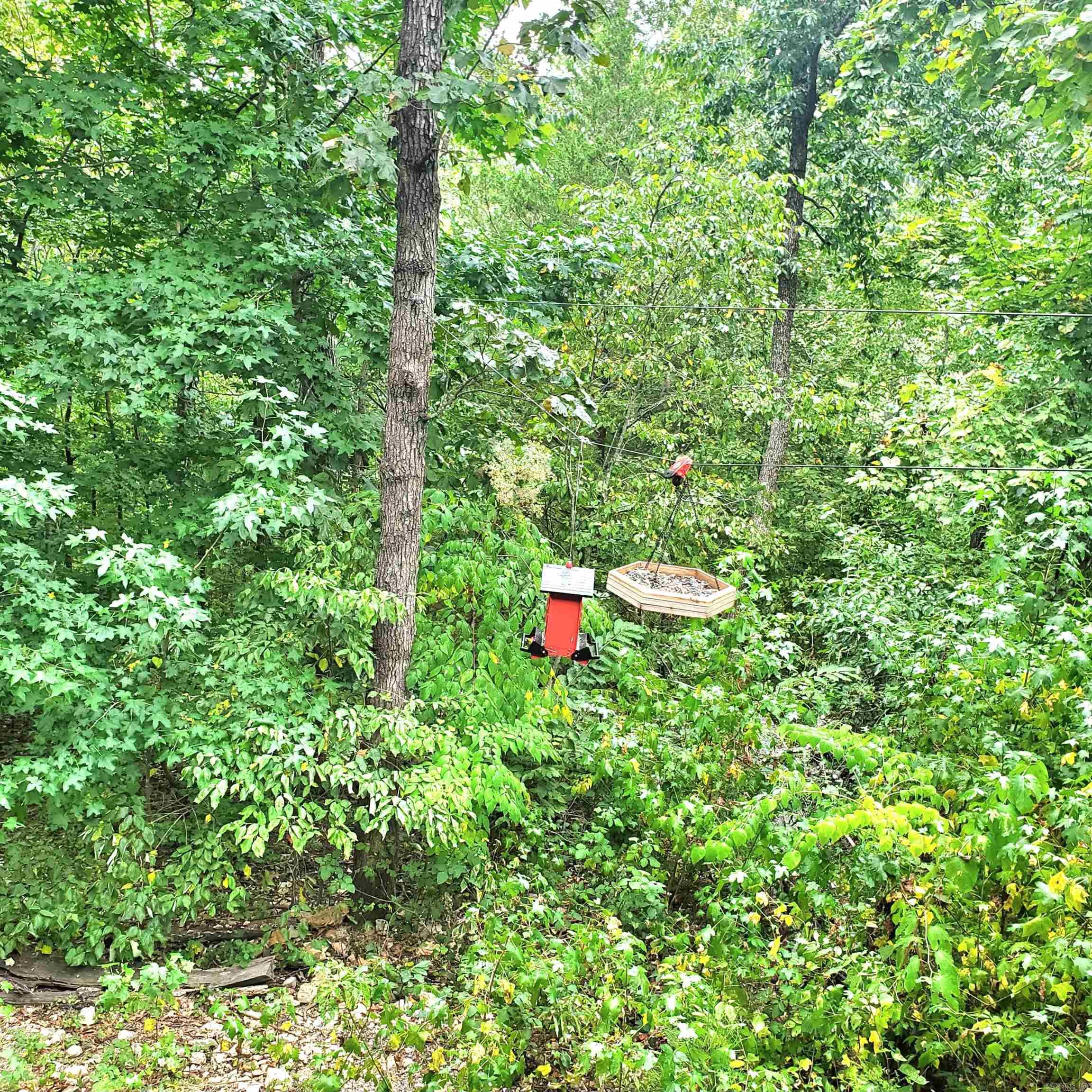1381 Mitchell  Mountain View, AR