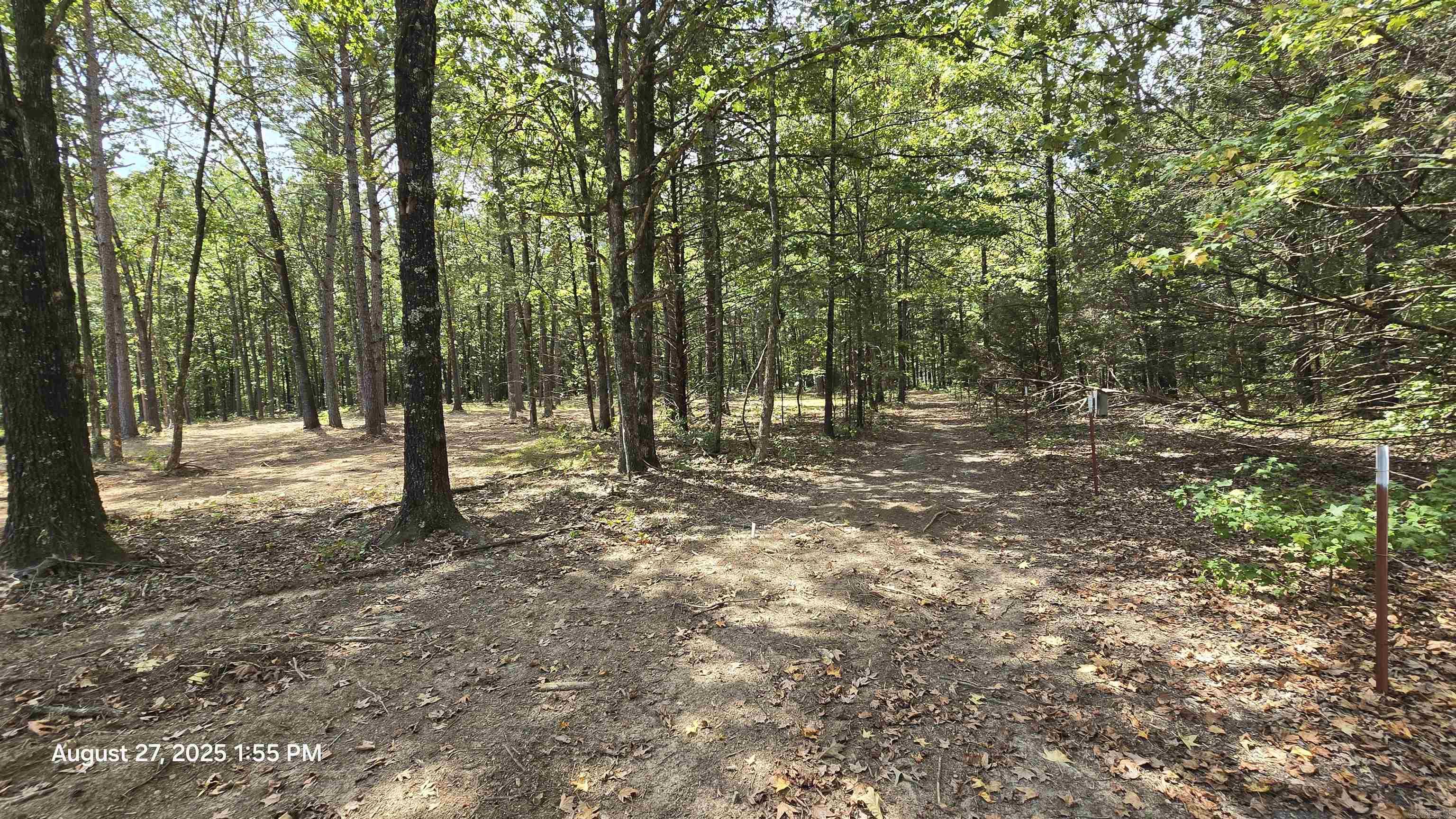 316 Briarwood  Shirley, AR