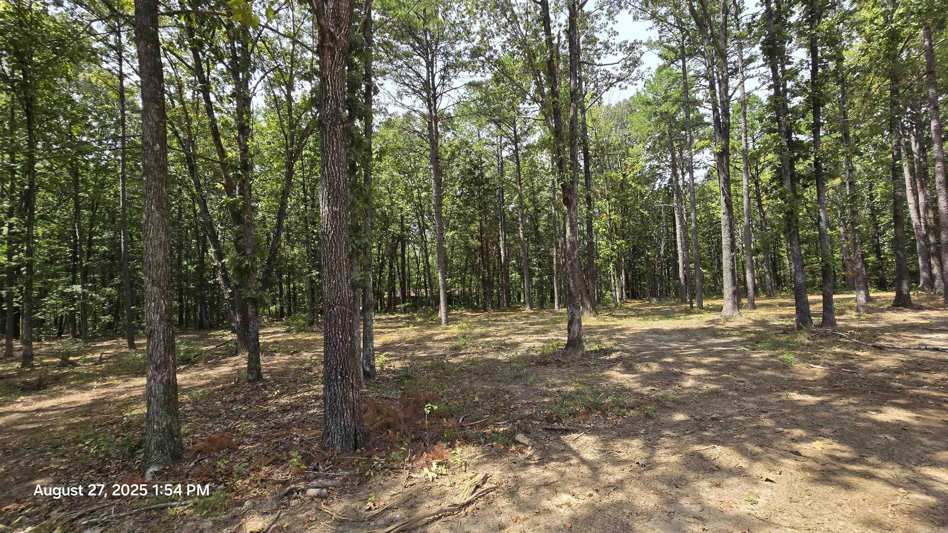 316 Briarwood  Shirley, AR