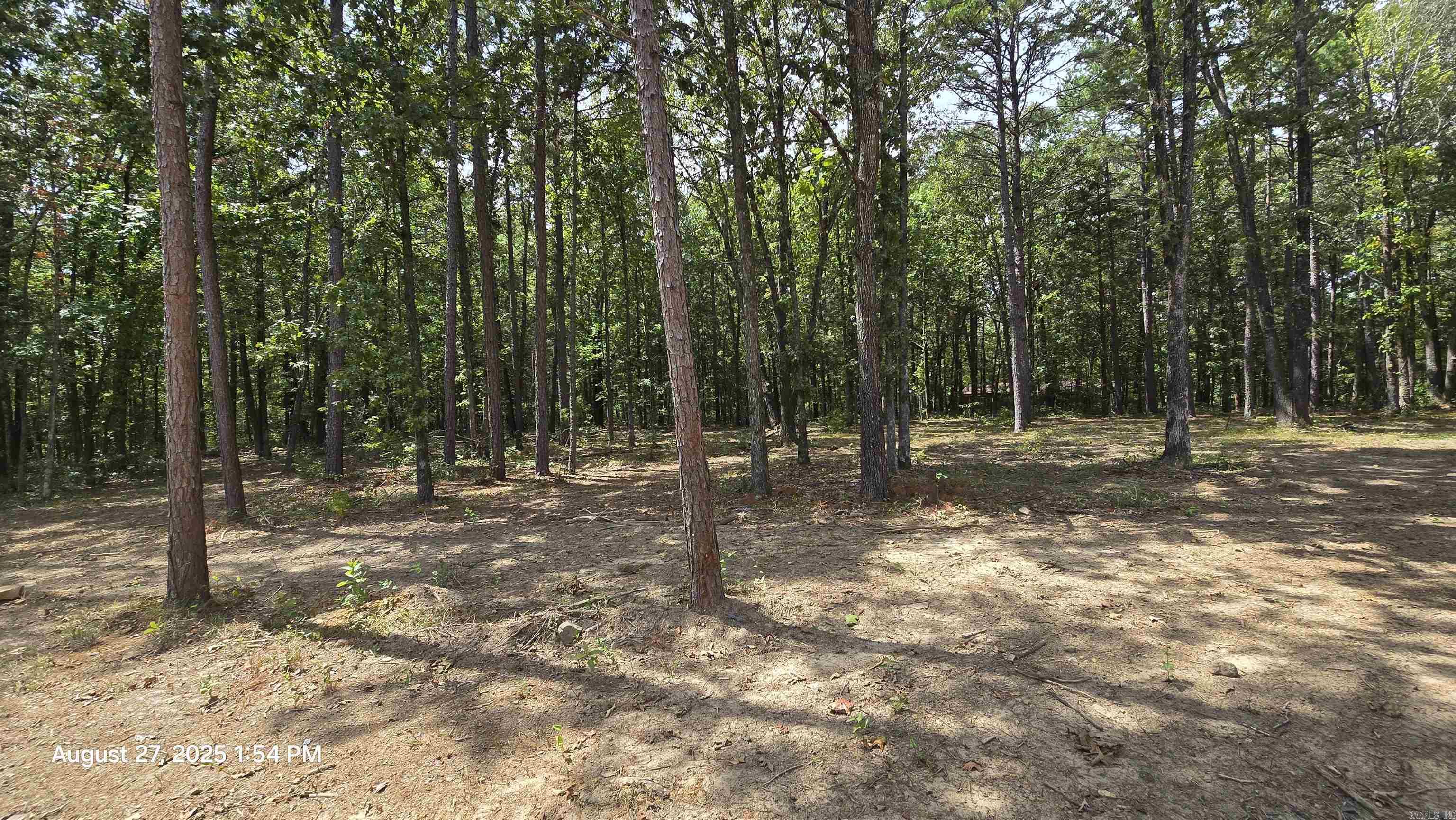316 Briarwood  Shirley, AR