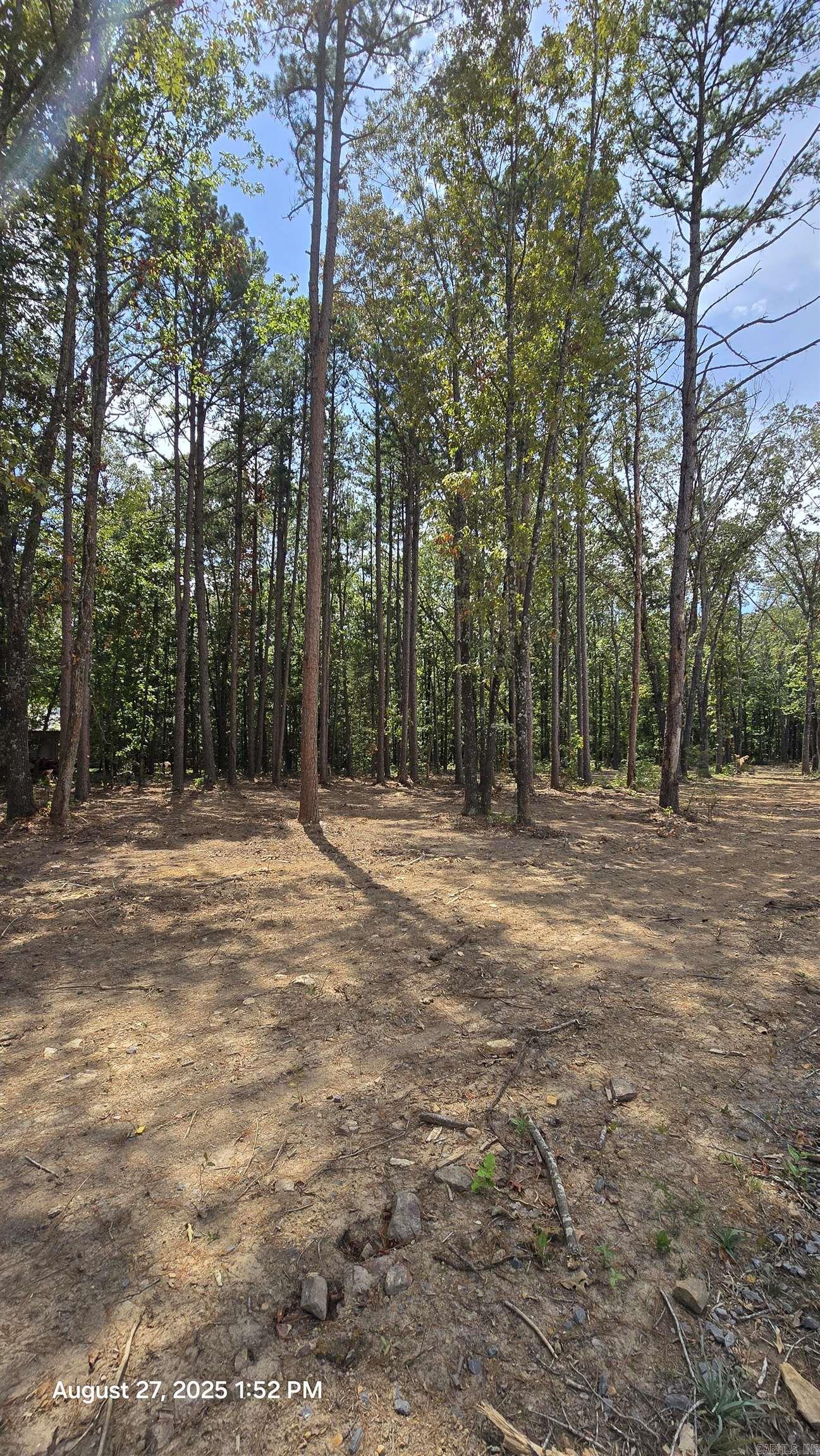 316 Briarwood  Shirley, AR