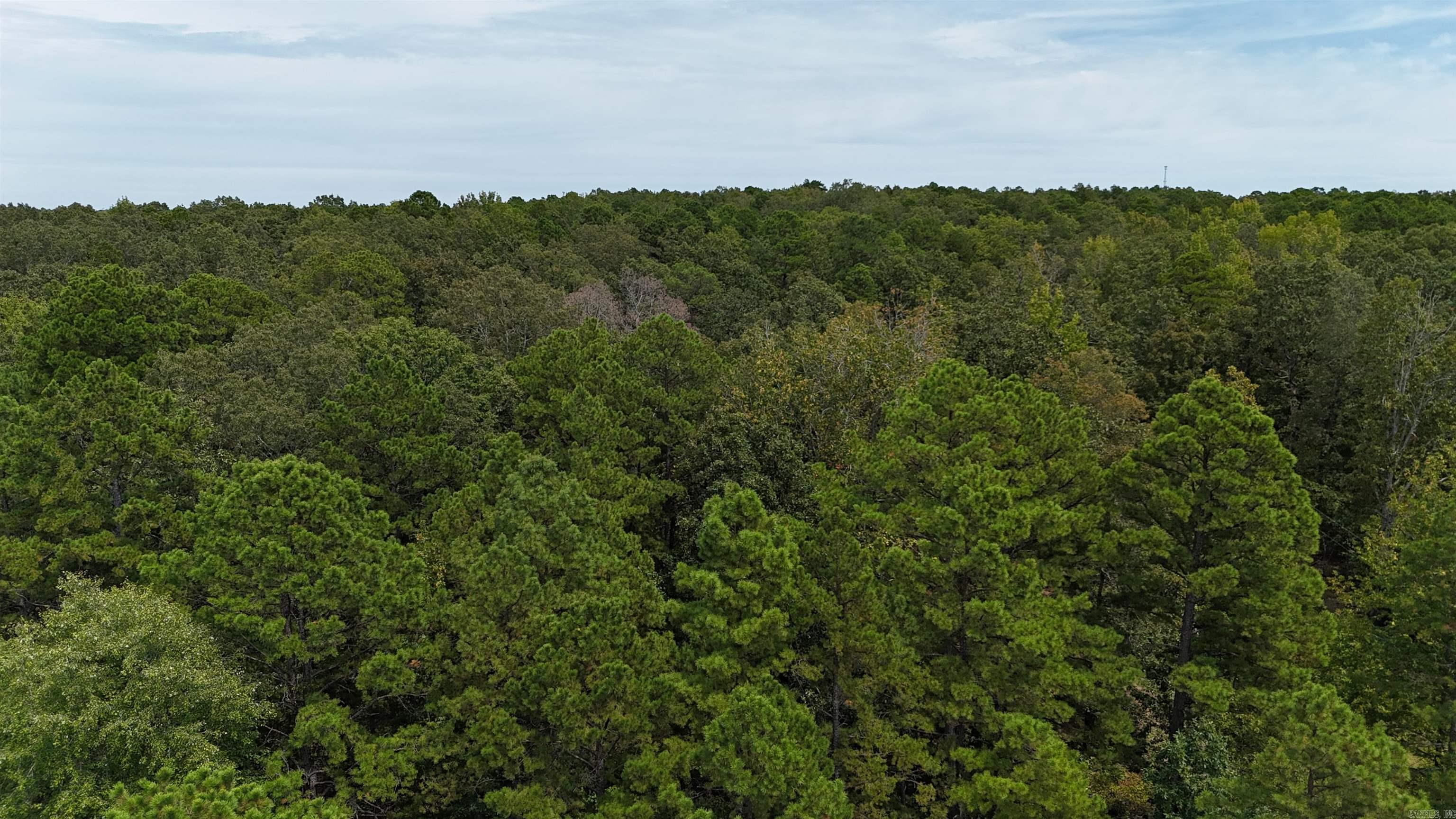 316 Briarwood  Shirley, AR