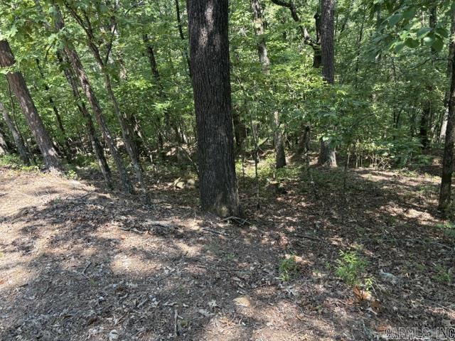 11 Nisa Ln  Hot Springs Village, AR