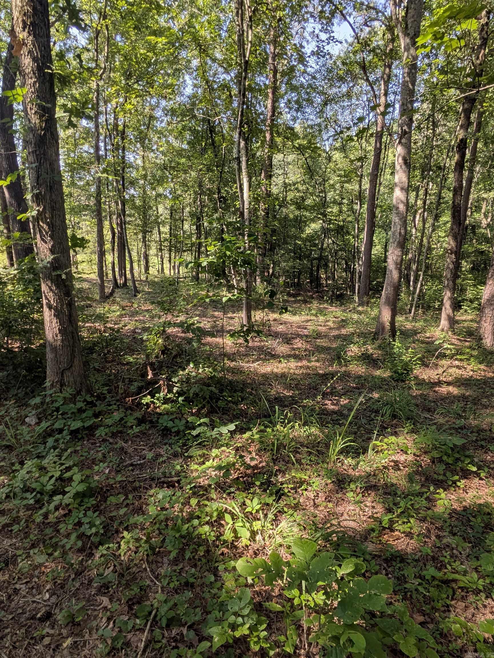 2629 Ouachita Circle  Mena, AR