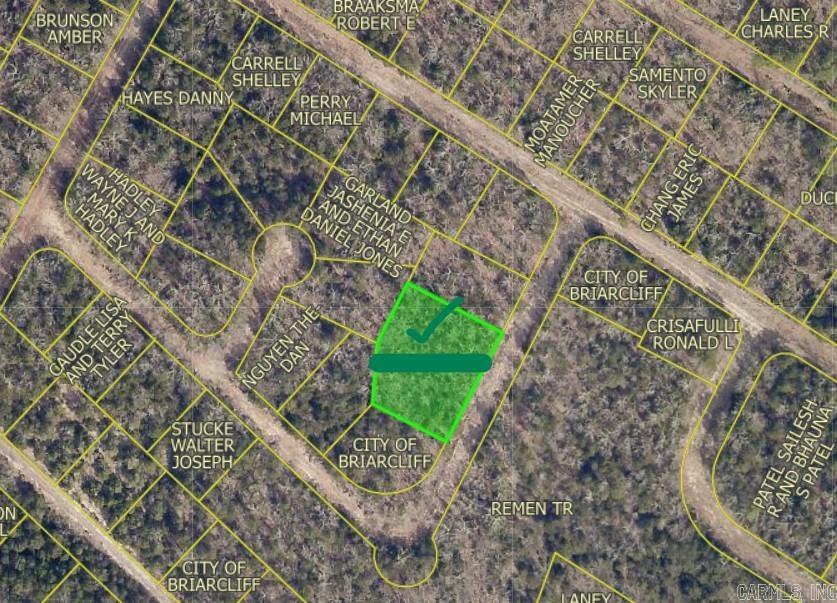 000 Briarcliff Lots 318 & 319 Sec 16 Briarcliff Mountain Home, AR