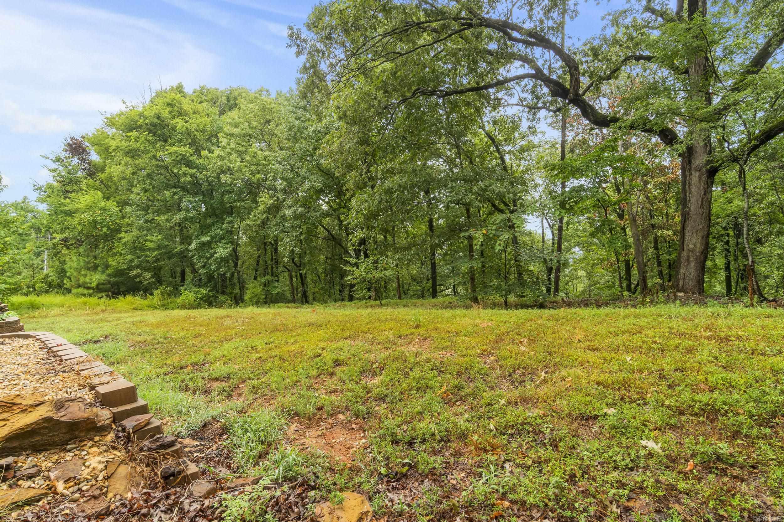1073 Mountain Side Cove  Alexander, AR