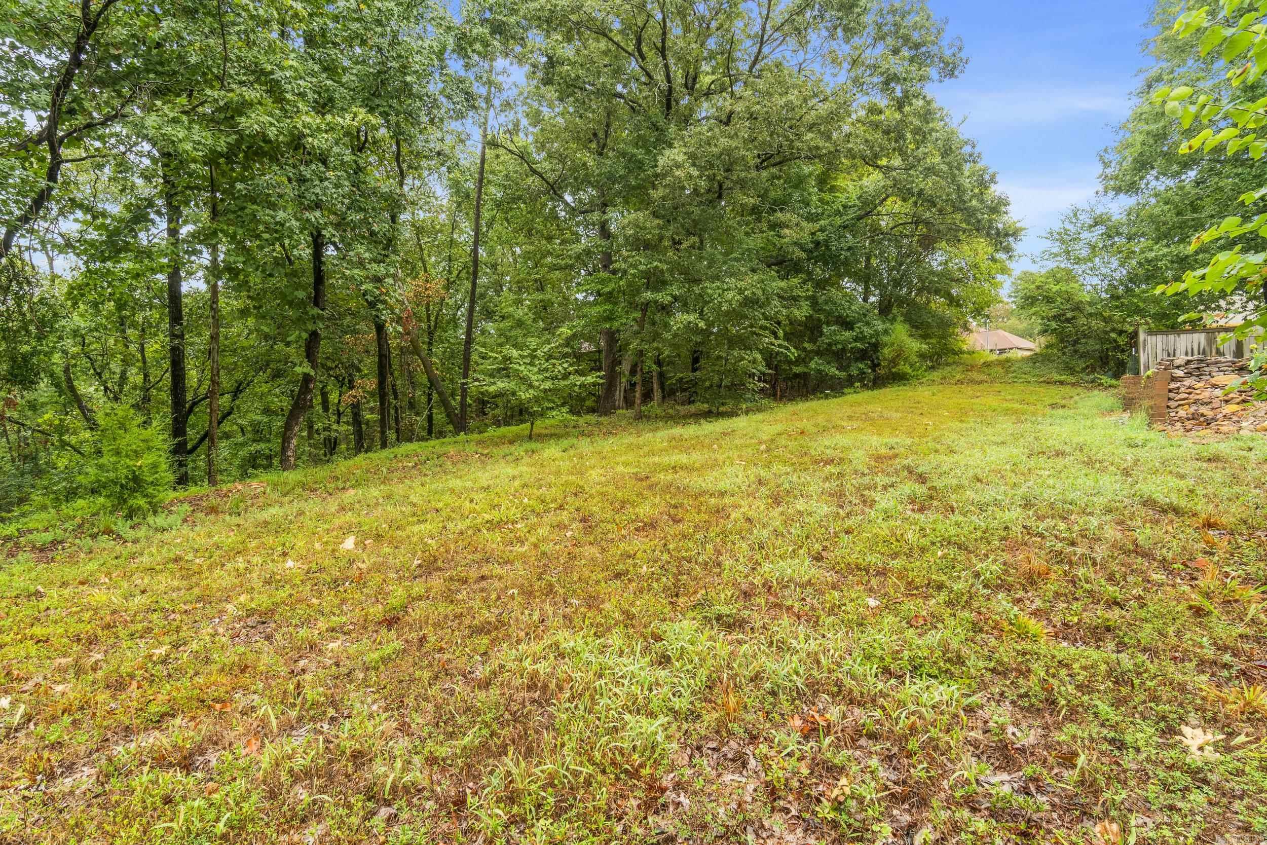 1073 Mountain Side Cove  Alexander, AR