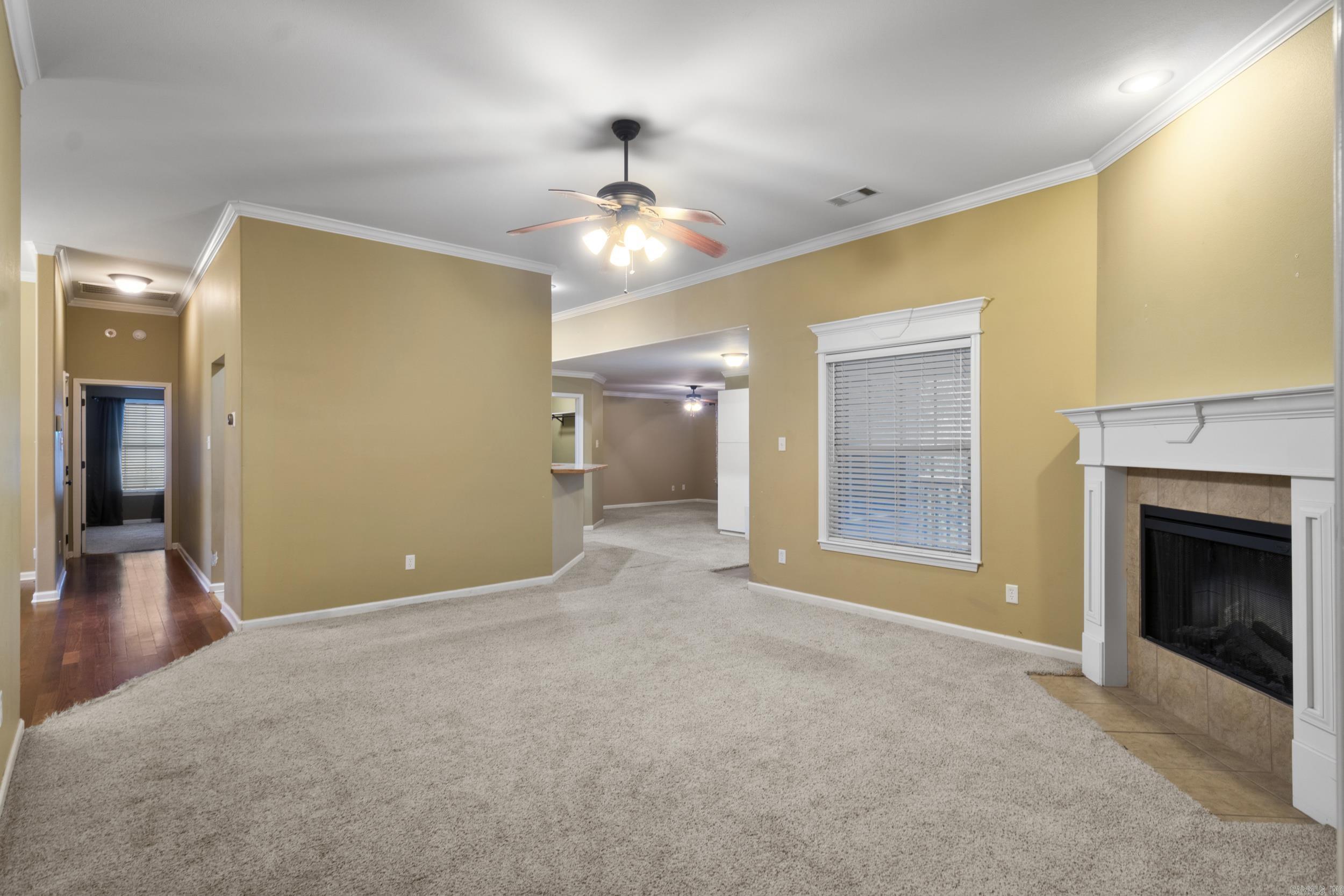 1073 Mountain Side Cove  Alexander, AR