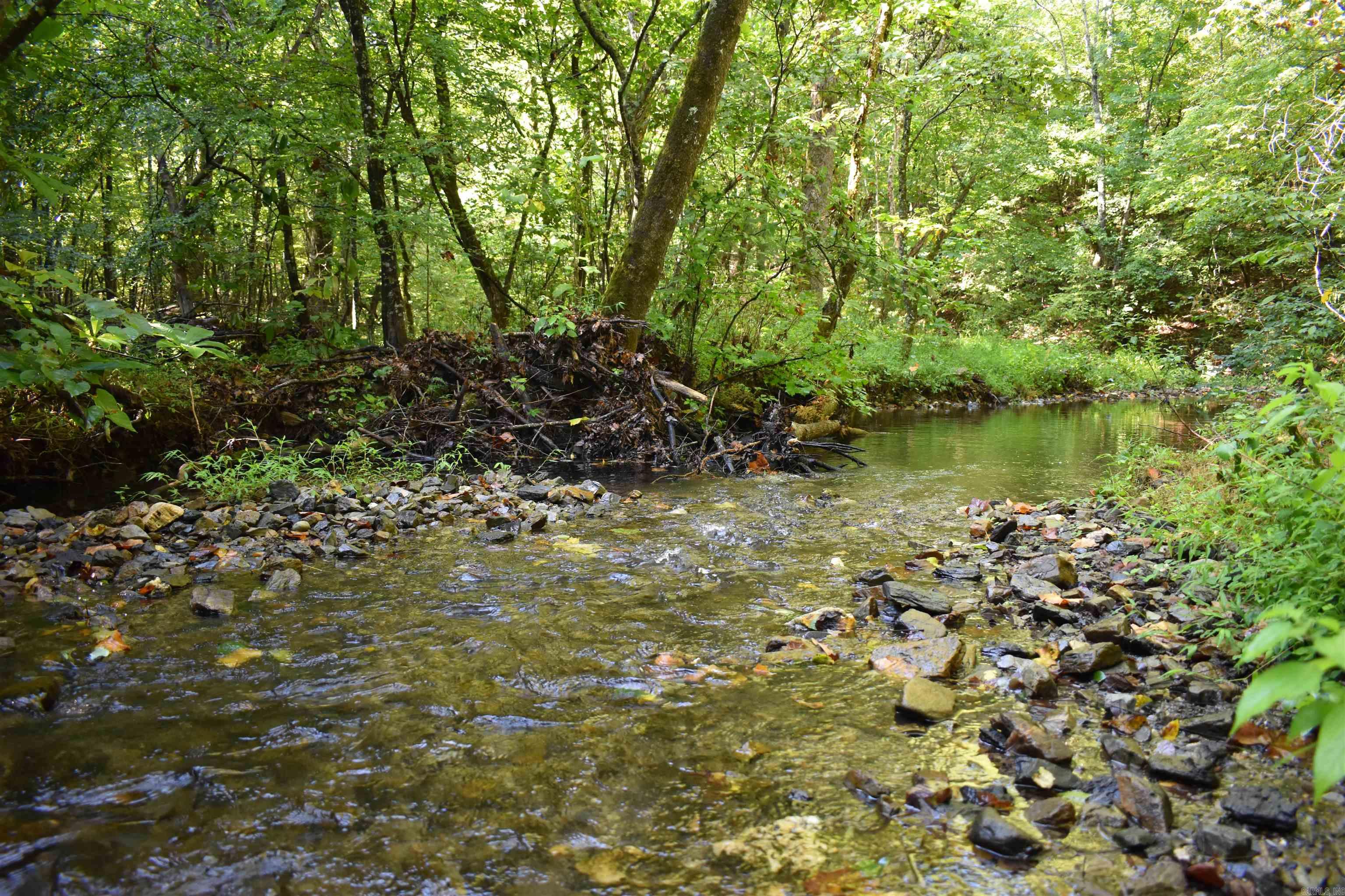 0000 Beech Creek Road  Norman, AR