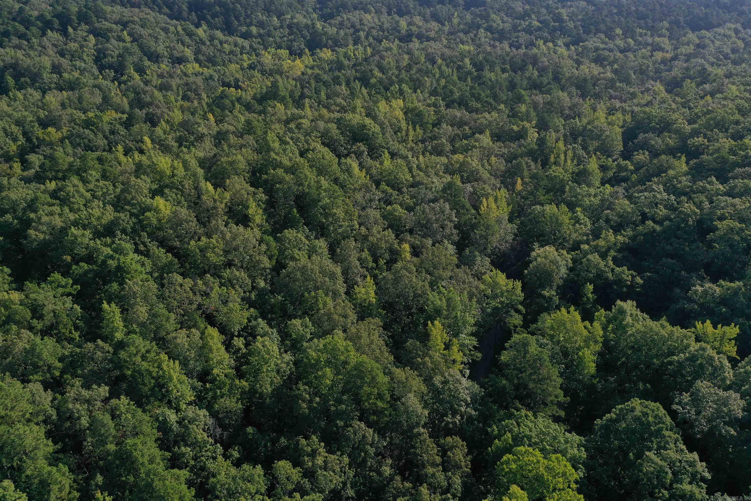 0000 Beech Creek Road  Norman, AR