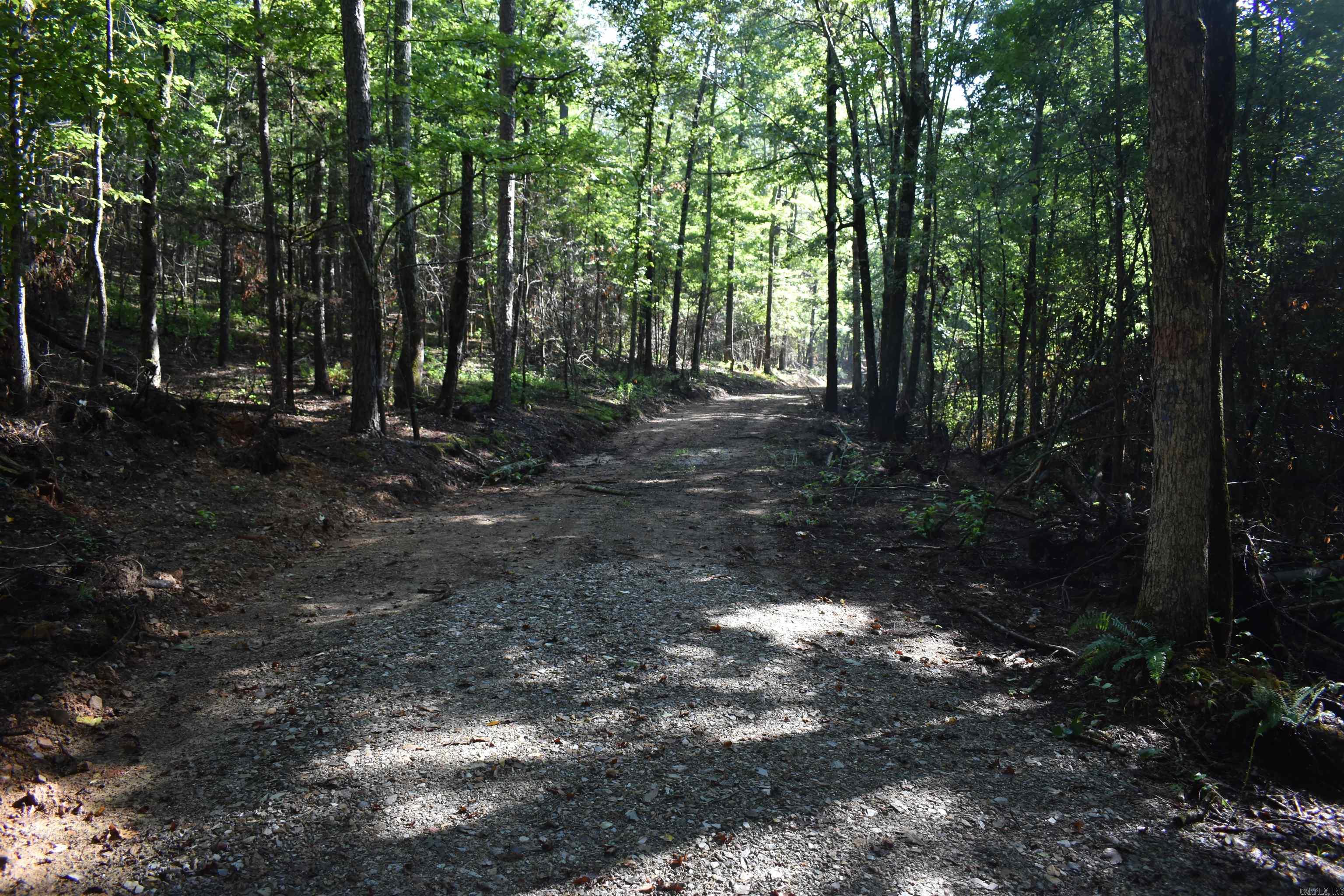 0000 Beech Creek Road  Norman, AR