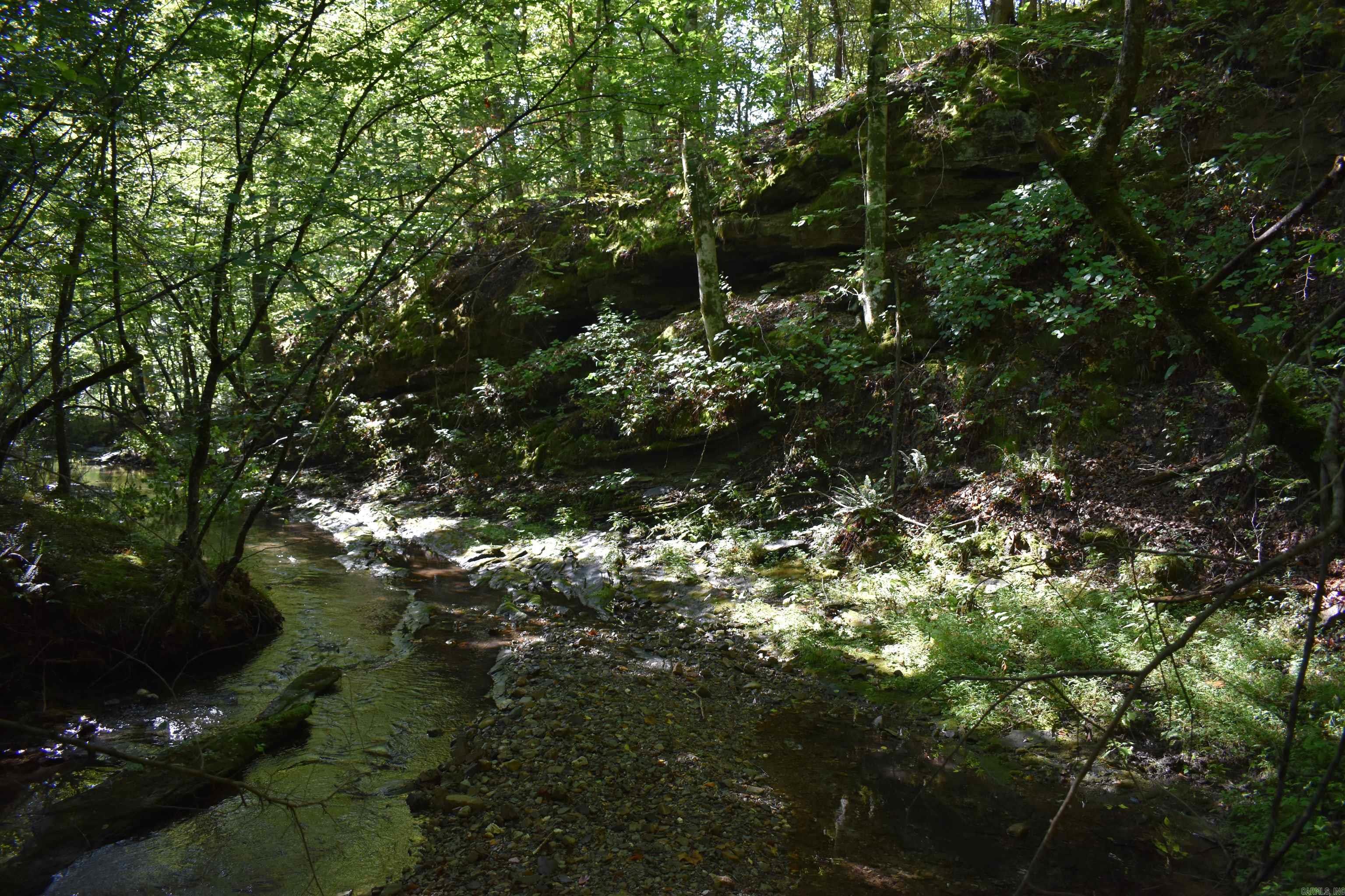0000 Beech Creek Road  Norman, AR