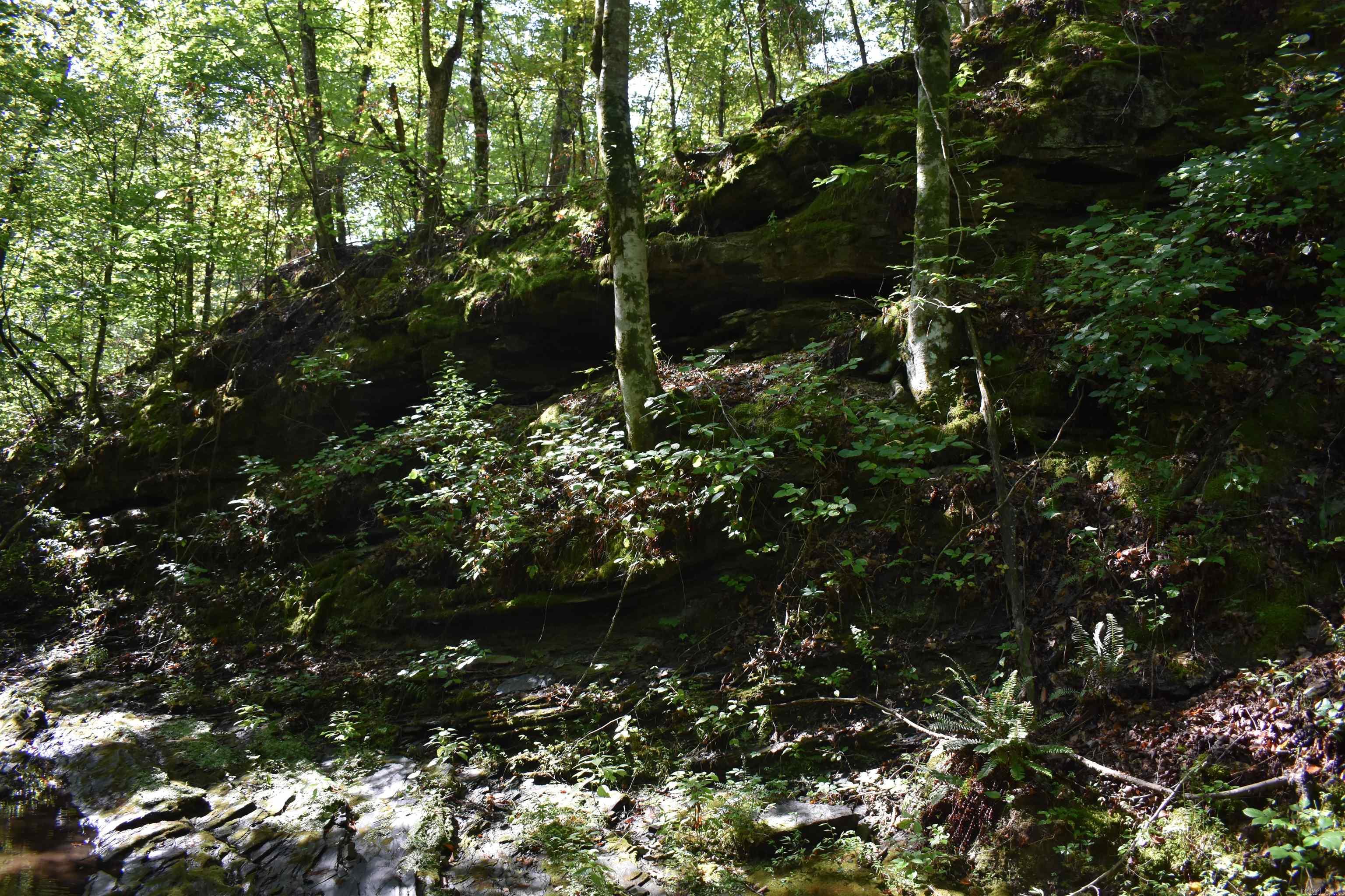 0000 Beech Creek Road  Norman, AR