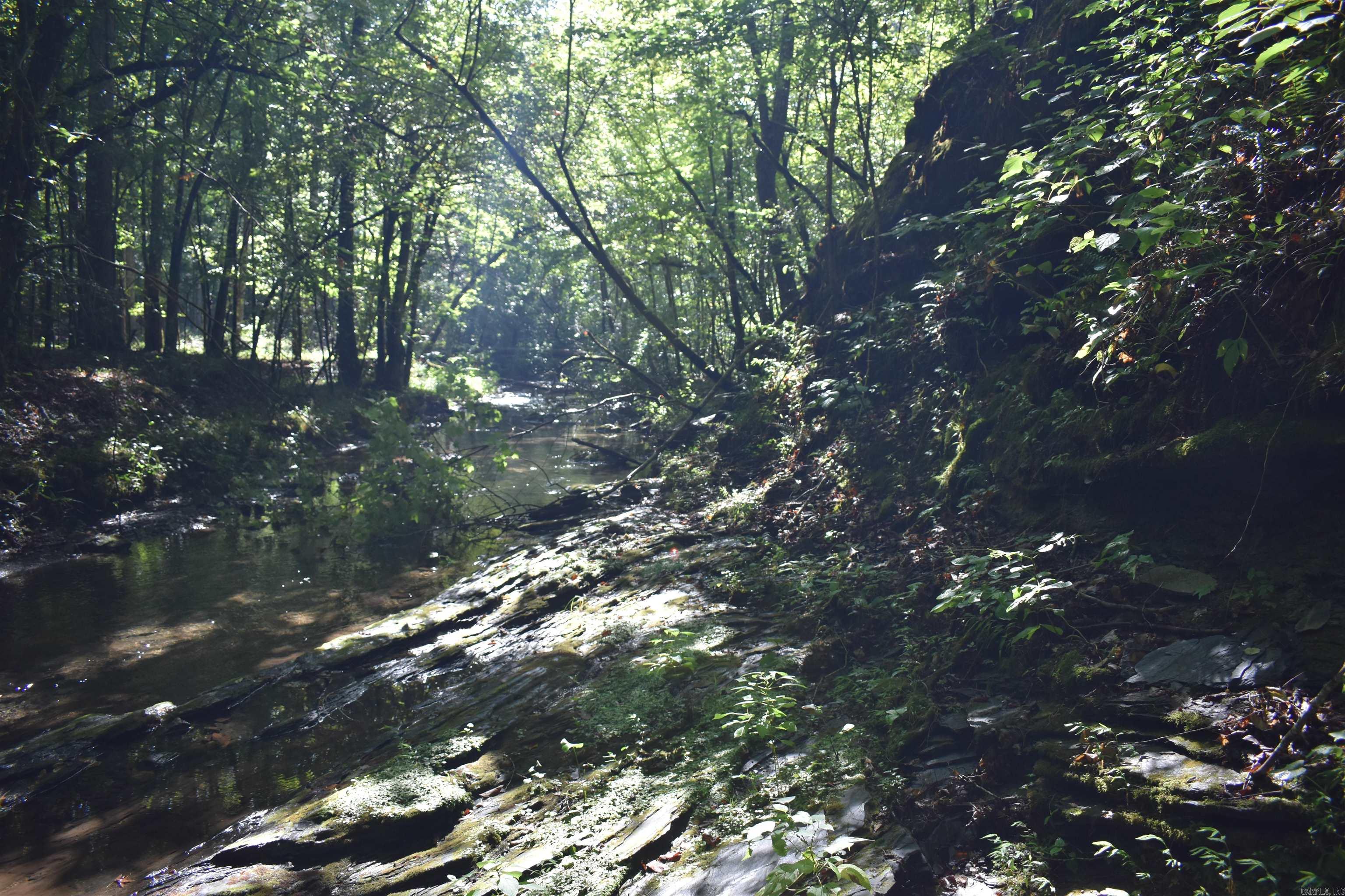0000 Beech Creek Road  Norman, AR