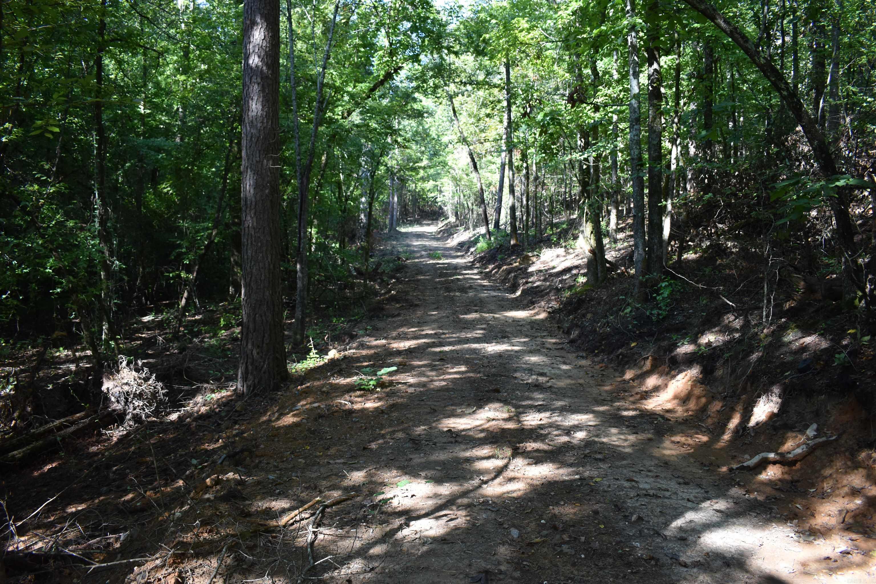 0000 Beech Creek Road  Norman, AR