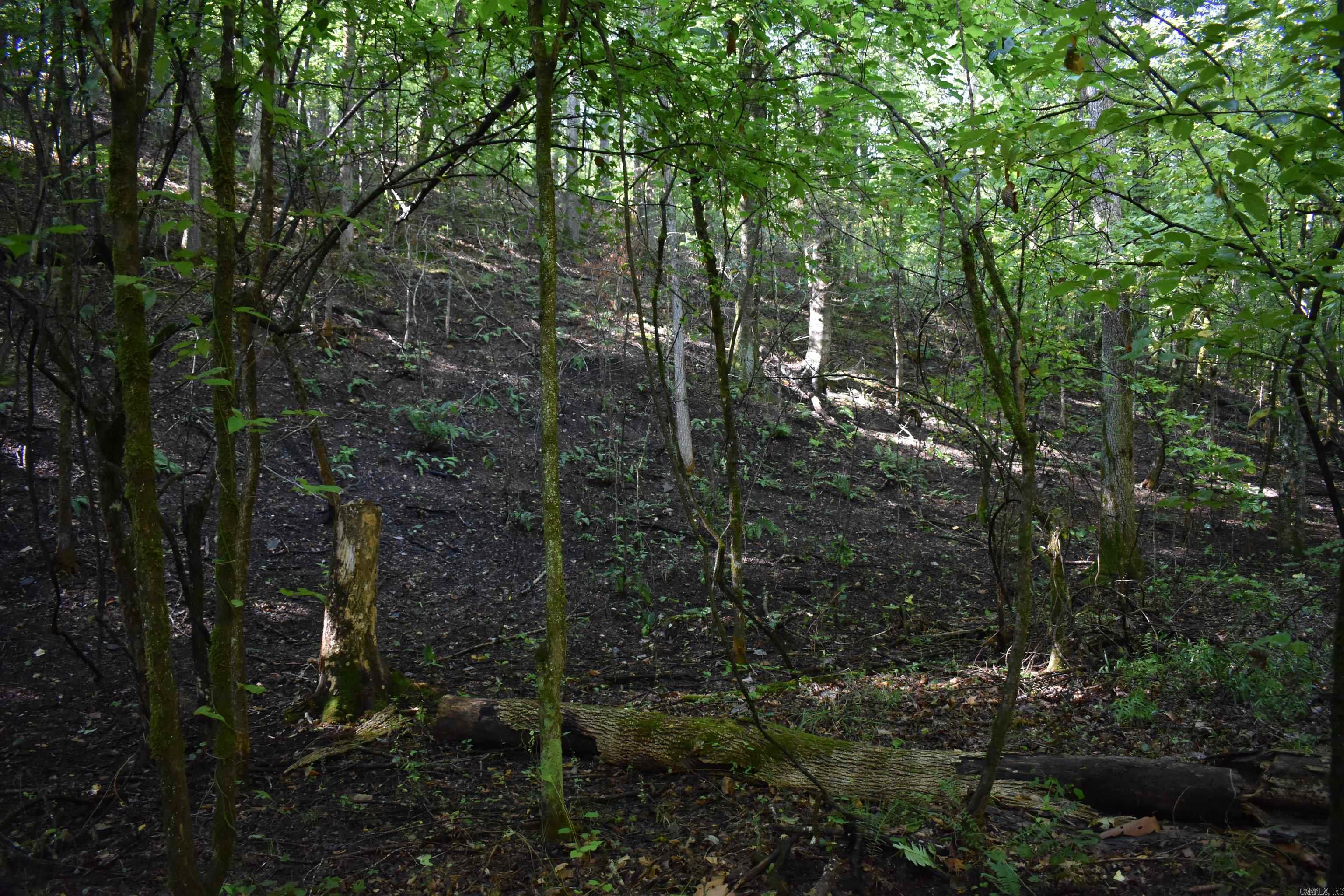 0000 Beech Creek Road  Norman, AR