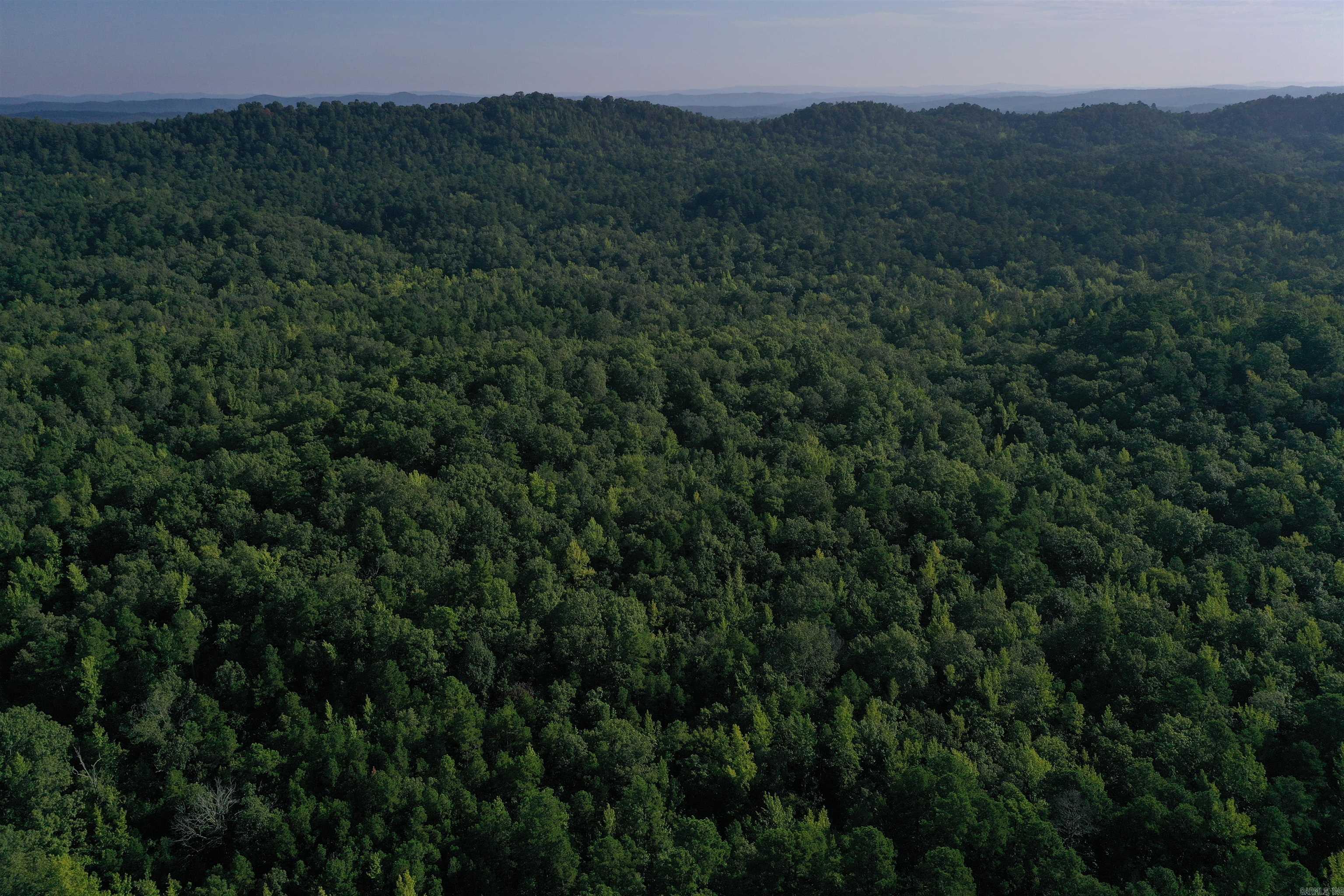 0000 Beech Creek Road  Norman, AR