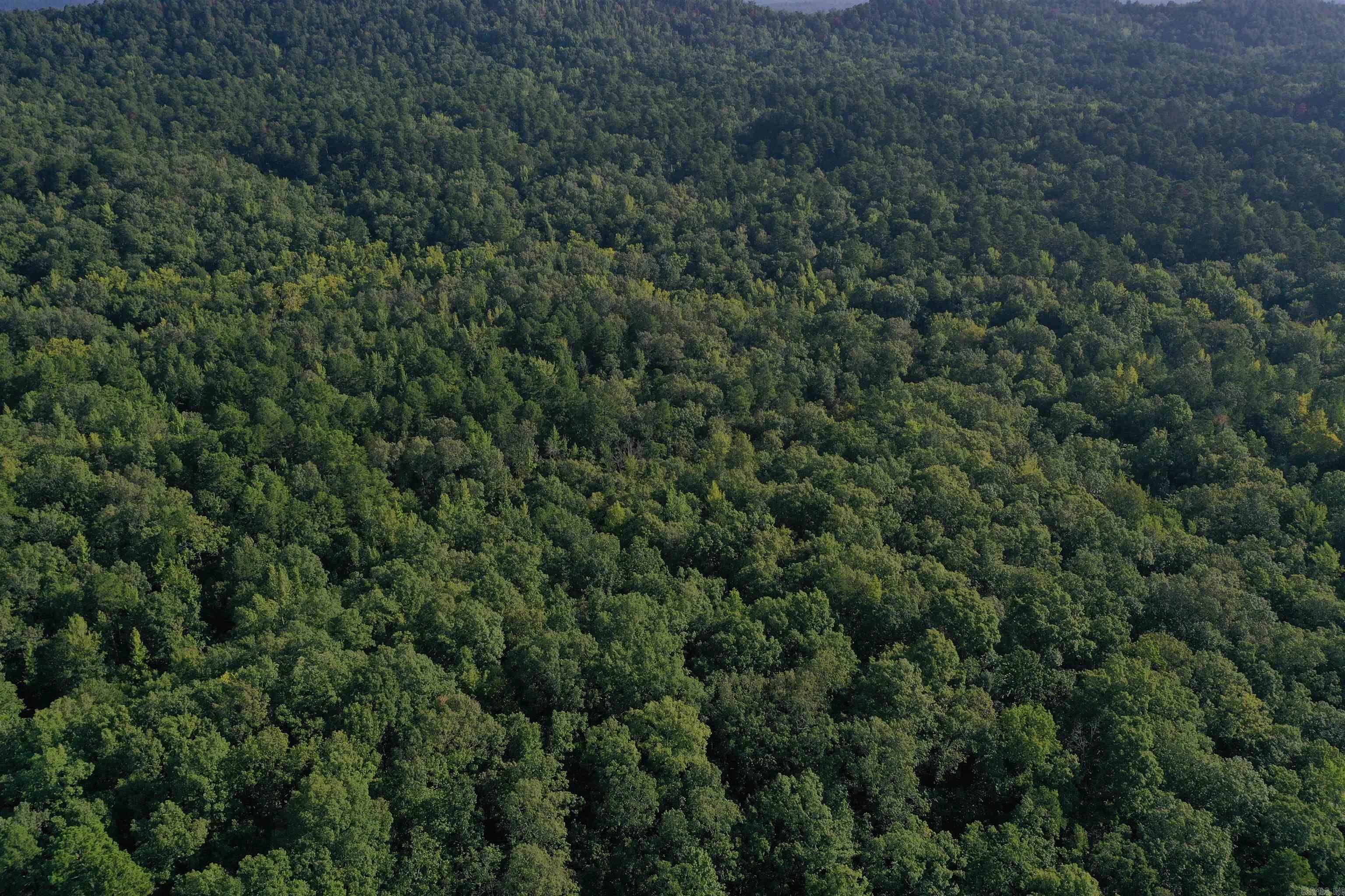 0000 Beech Creek Road  Norman, AR