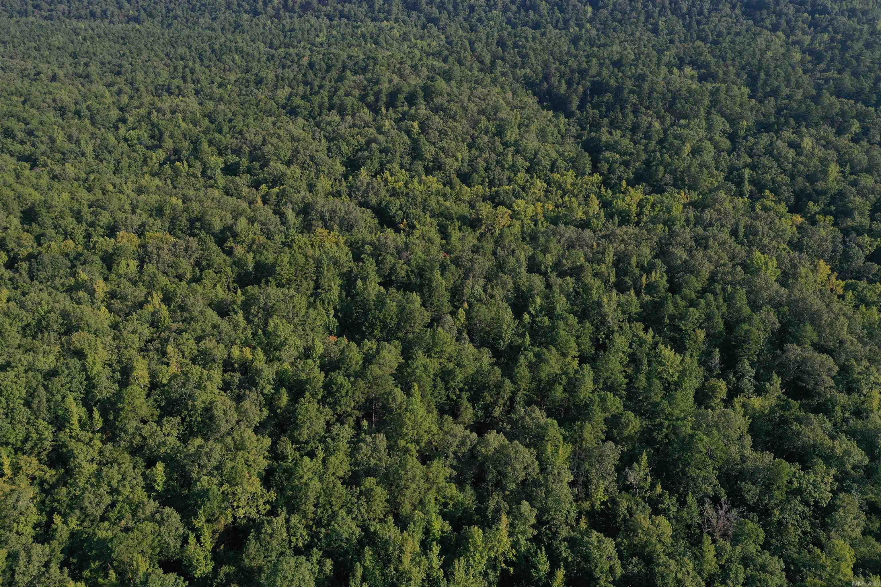 0000 Beech Creek Road  Norman, AR