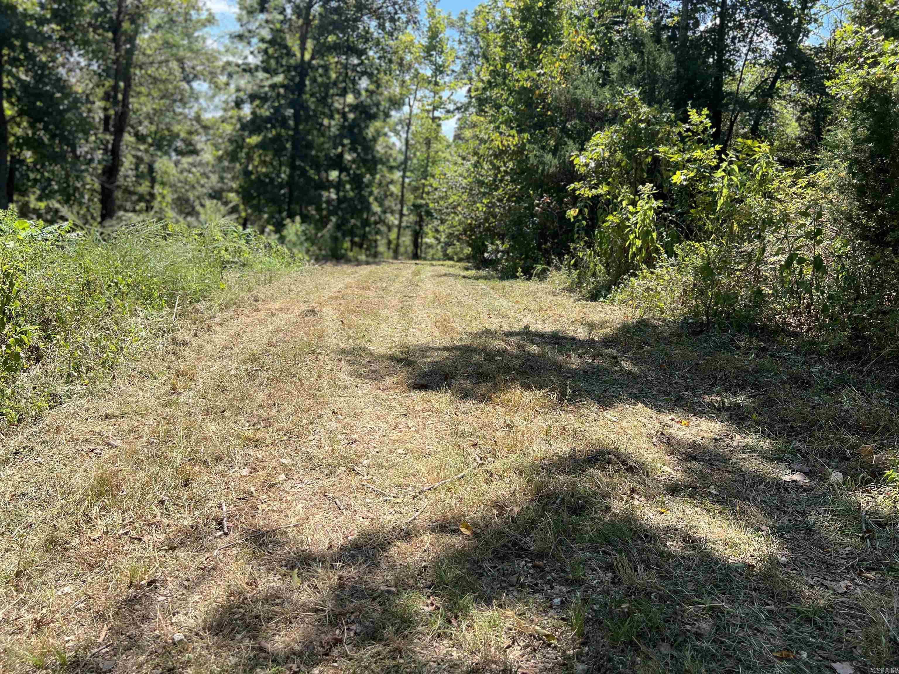 000 Private Road off My Lane  Mammoth Spring, AR