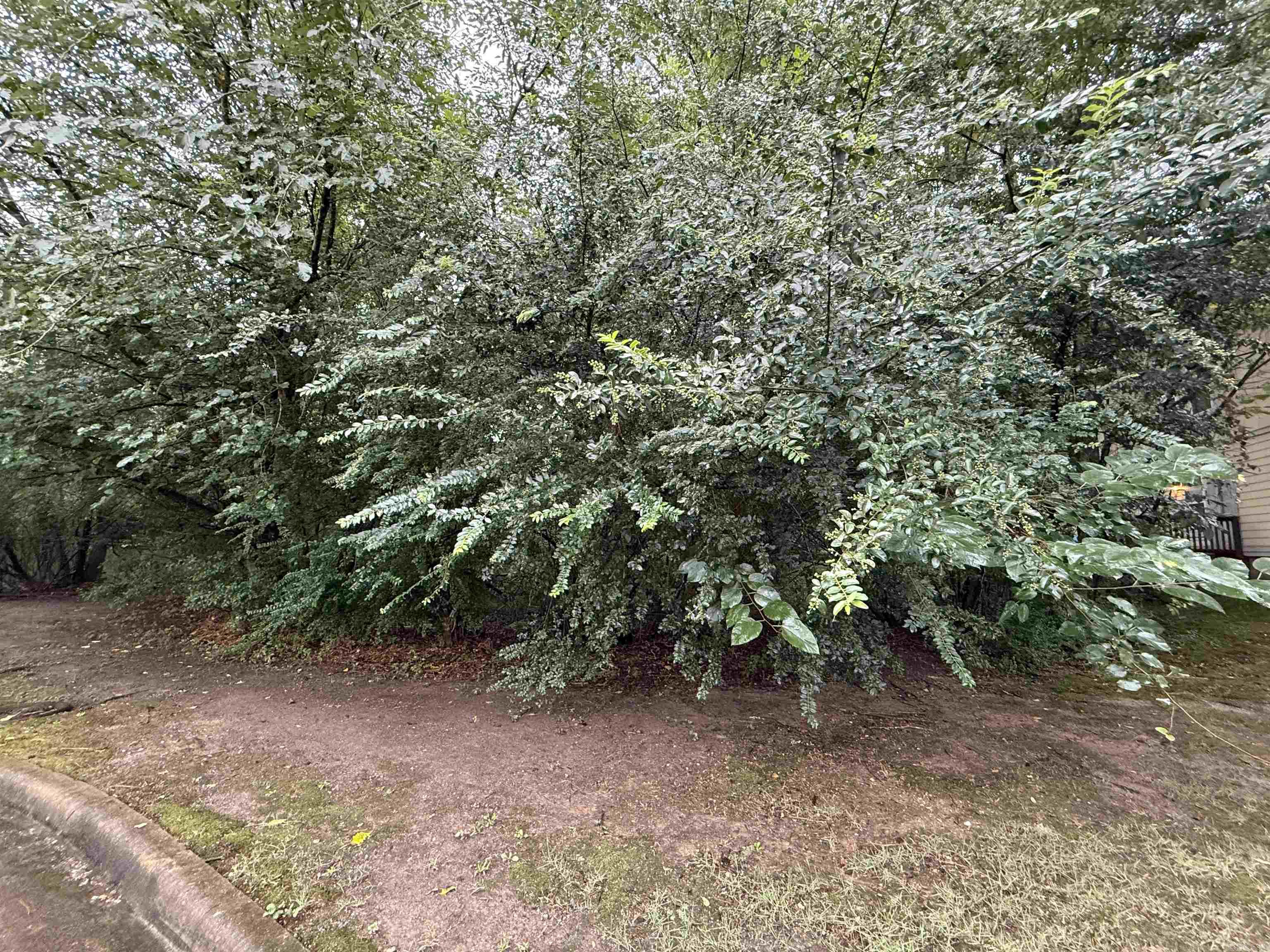 Lot 22 The Arbors at Stagecoach Village  Little Rock, AR
