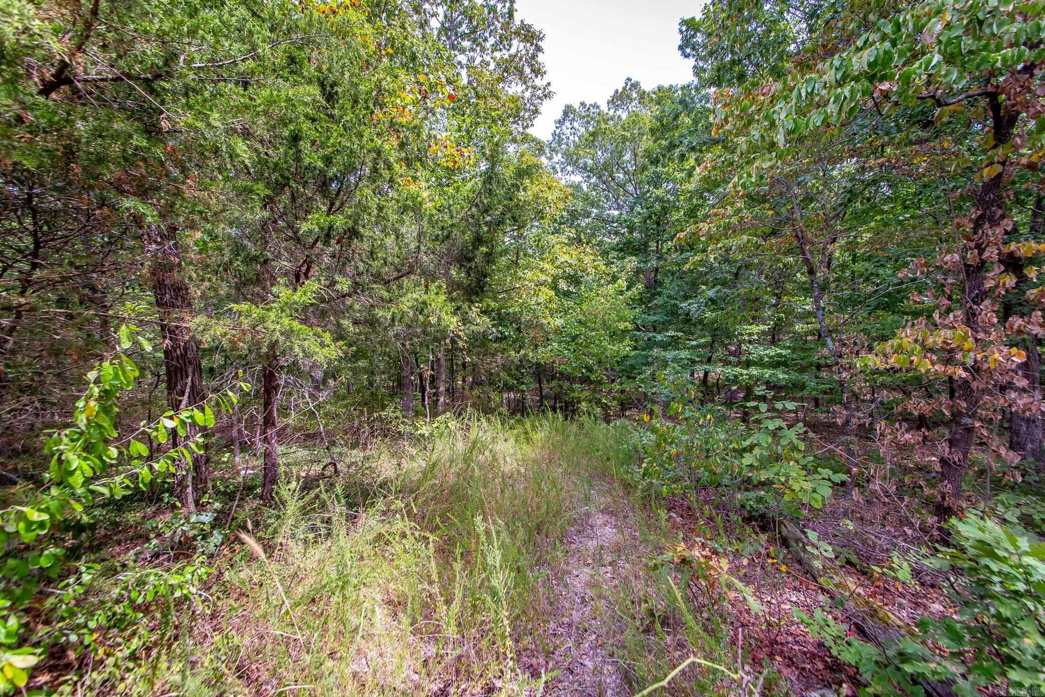 0 Hickory Hollow  Marshall, AR