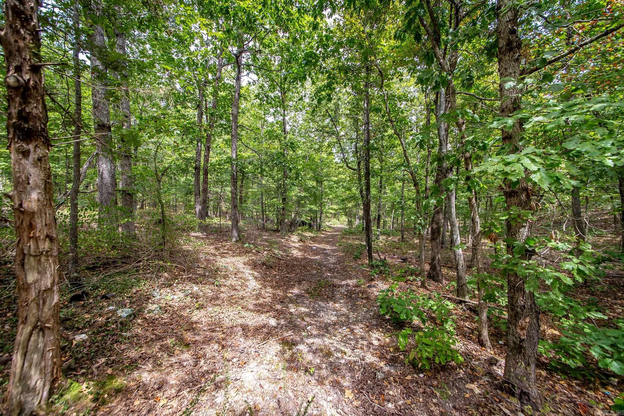 0 Hickory Hollow  Marshall, AR