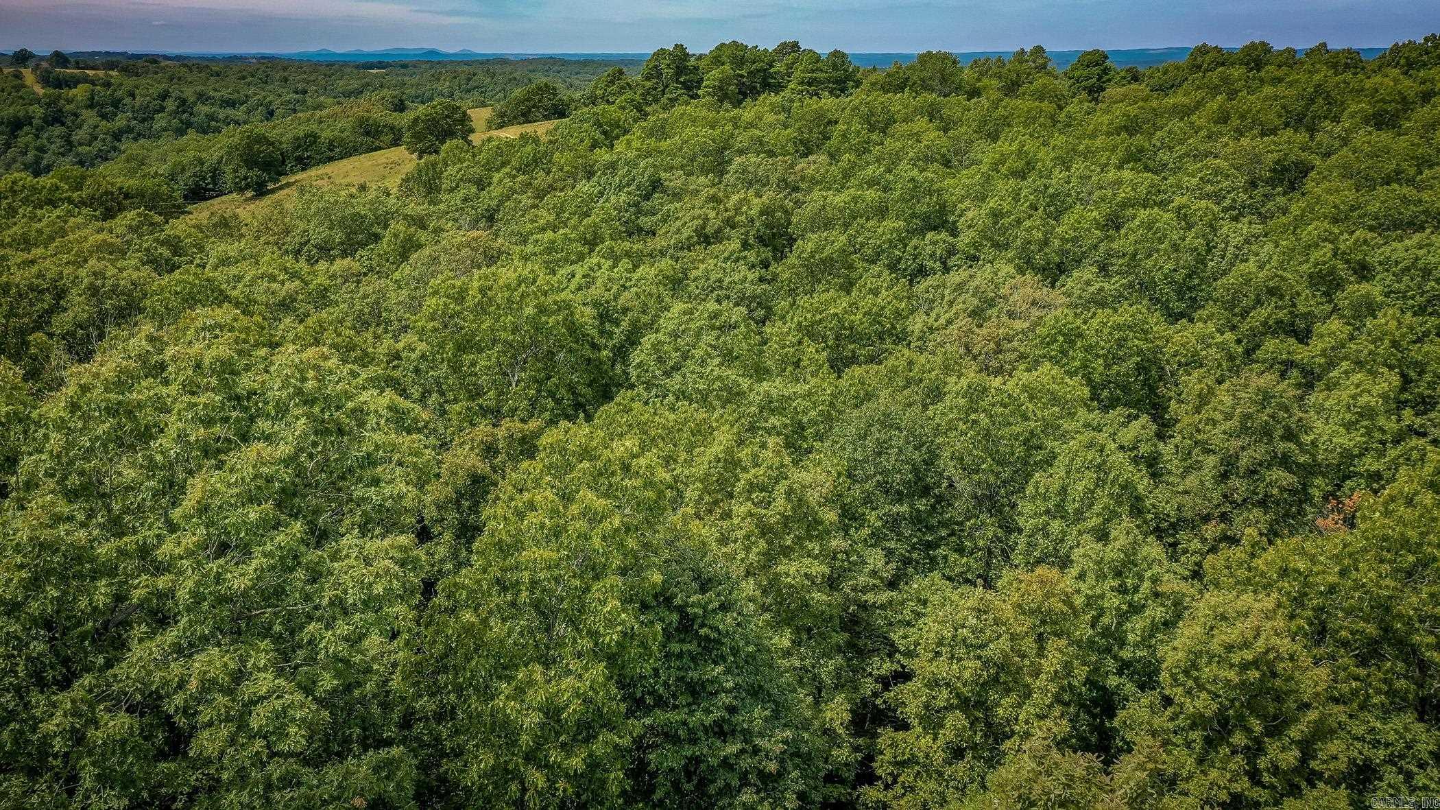 0 Hickory Hollow  Marshall, AR
