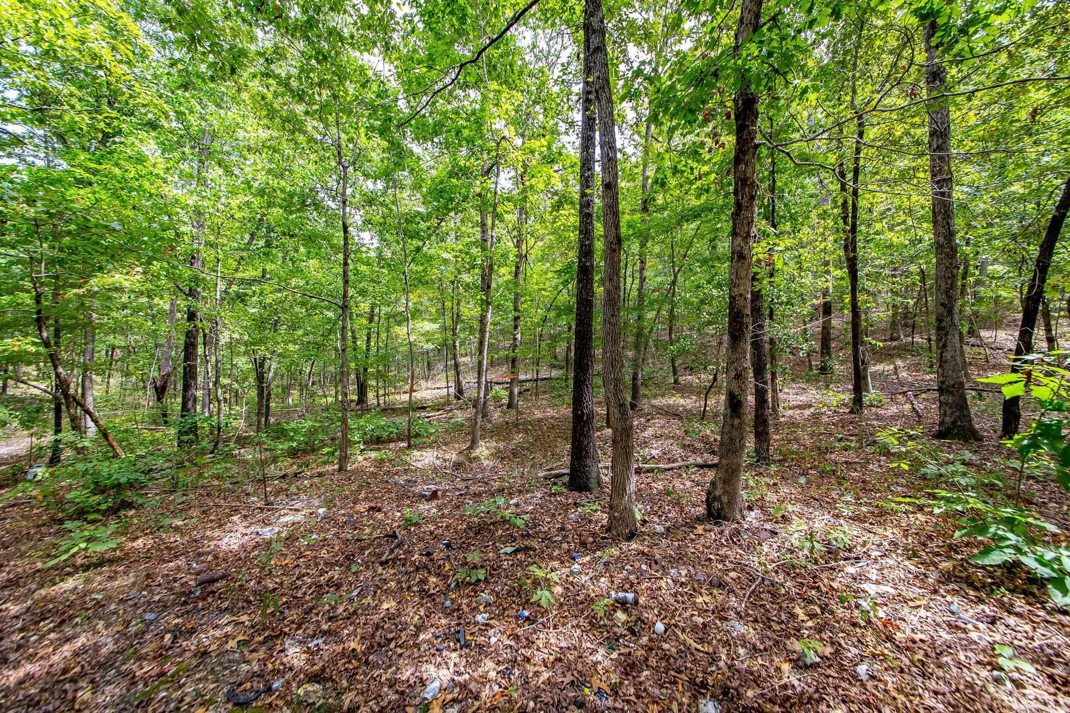 0 Hickory Hollow  Marshall, AR