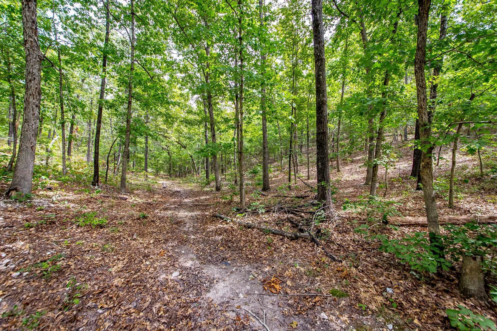 0 Hickory Hollow  Marshall, AR