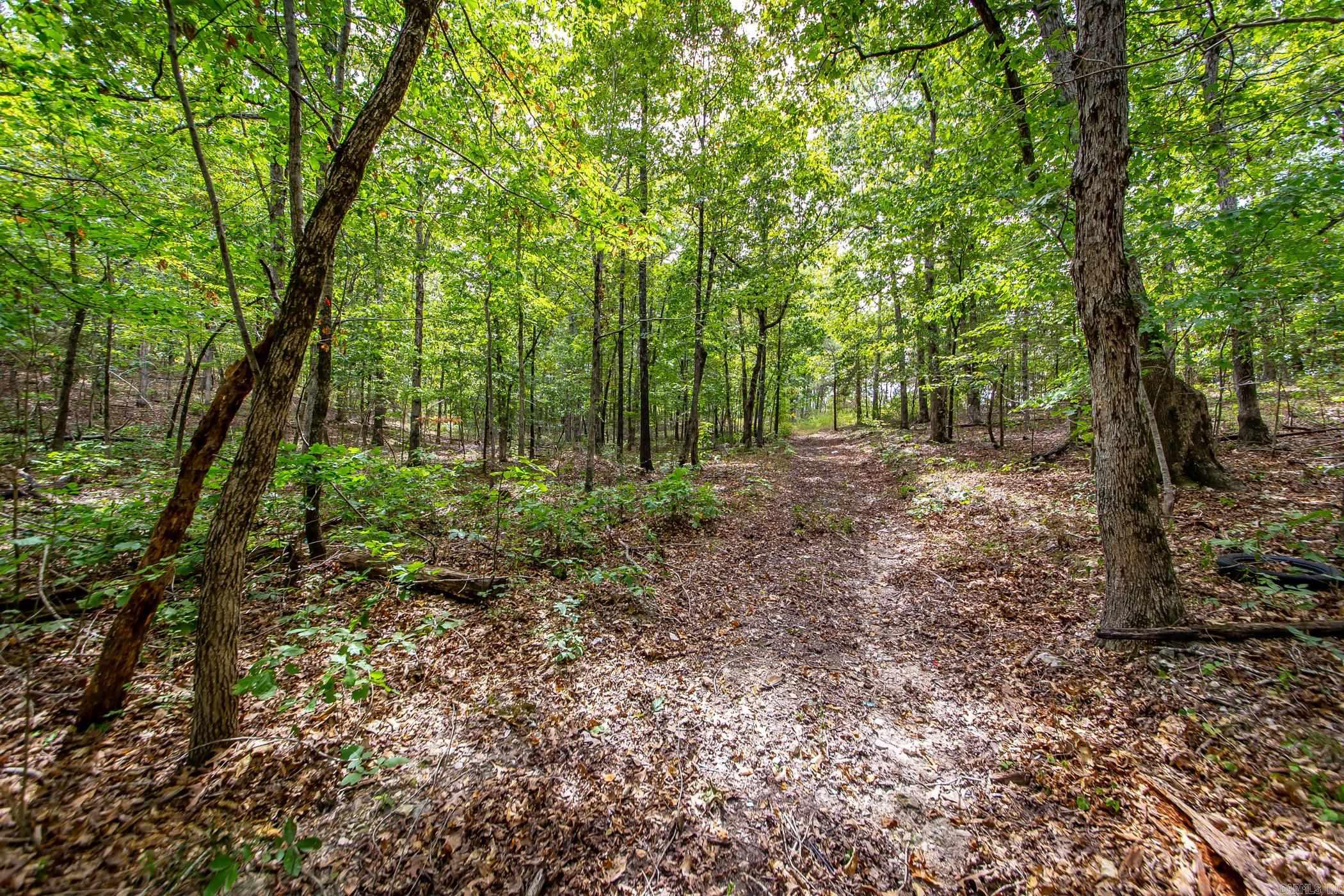 0 Hickory Hollow  Marshall, AR