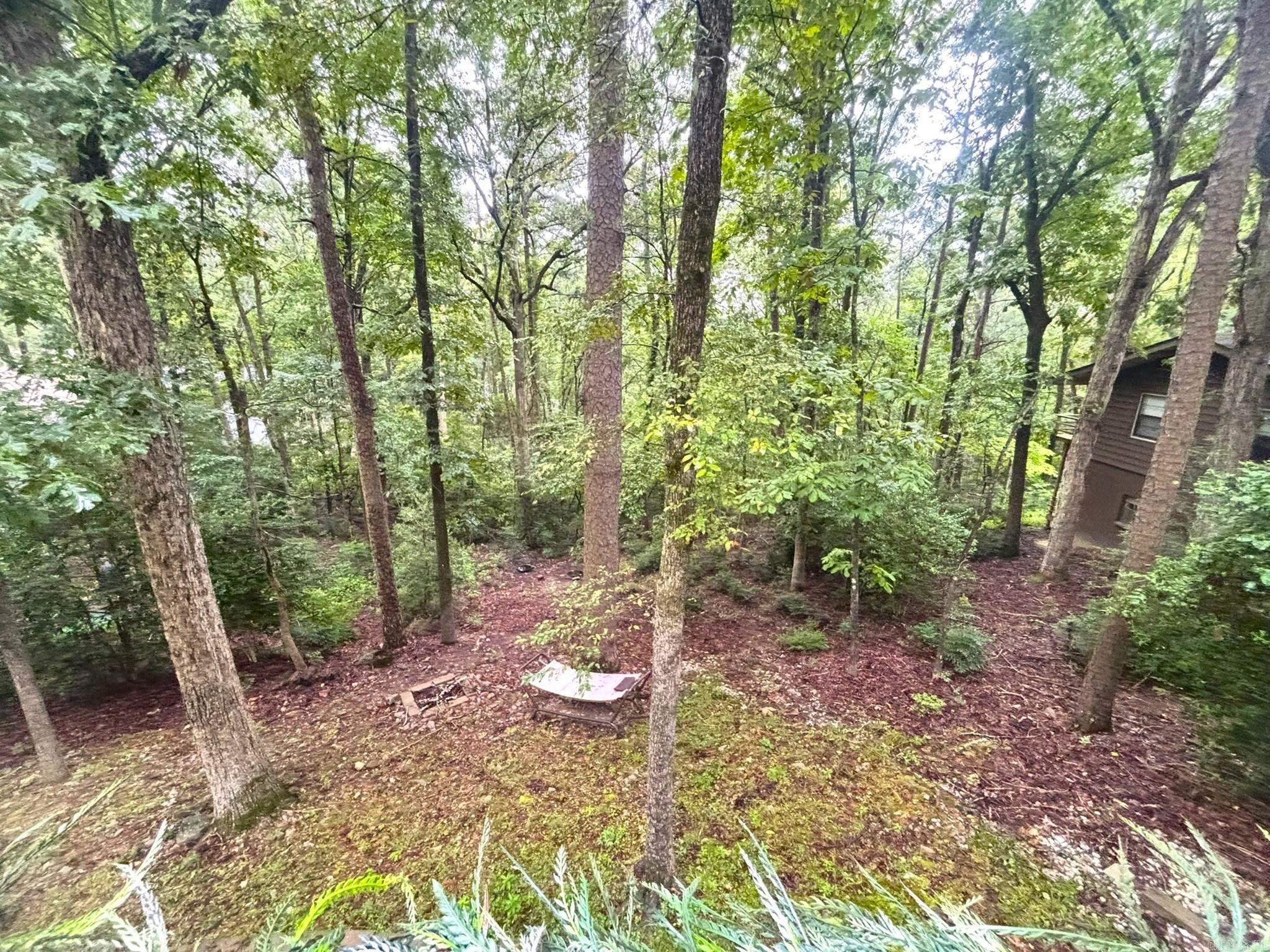 61 Tomino  Hot Springs Village, AR