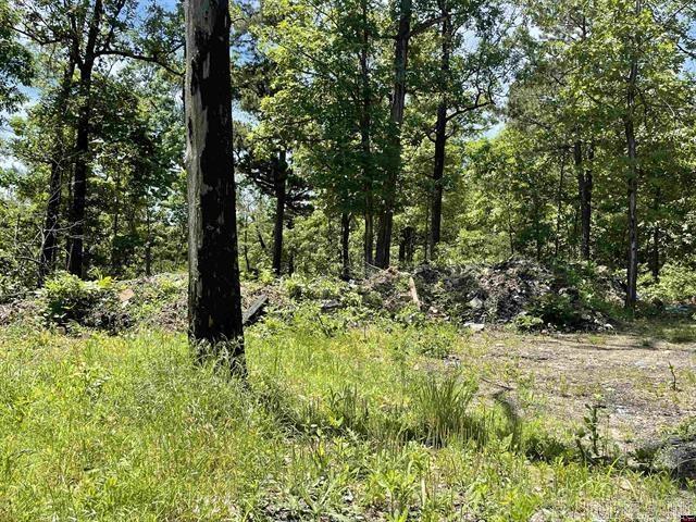 1190 Robinwood Lane  Yellville, AR