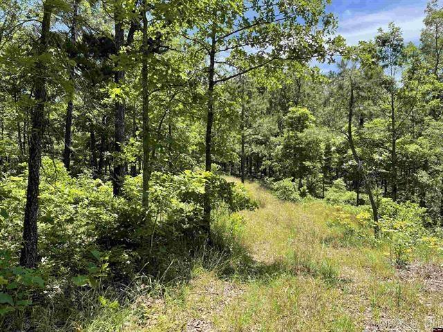 1190 Robinwood Lane  Yellville, AR