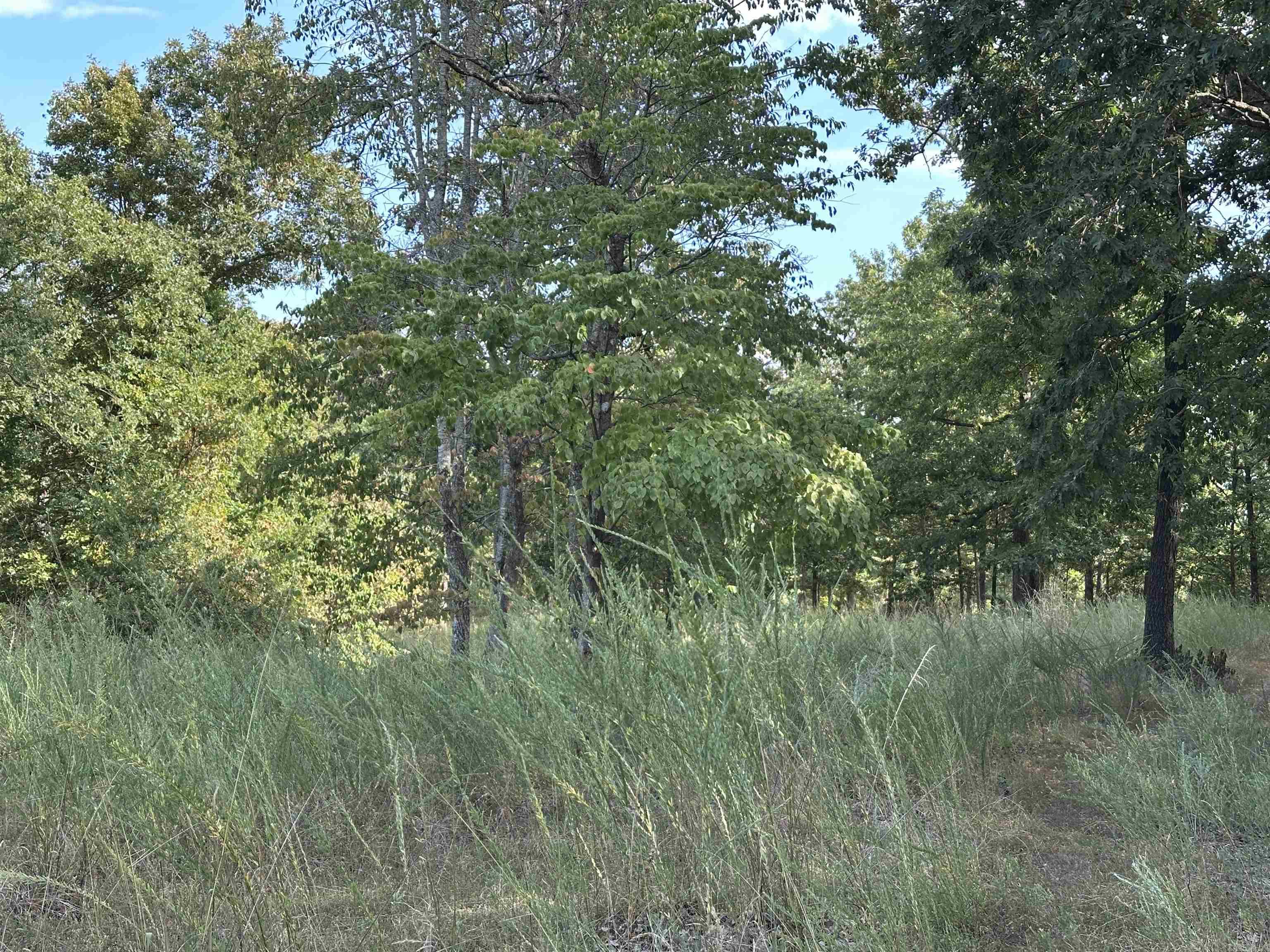1190 Robinwood Lane  Yellville, AR