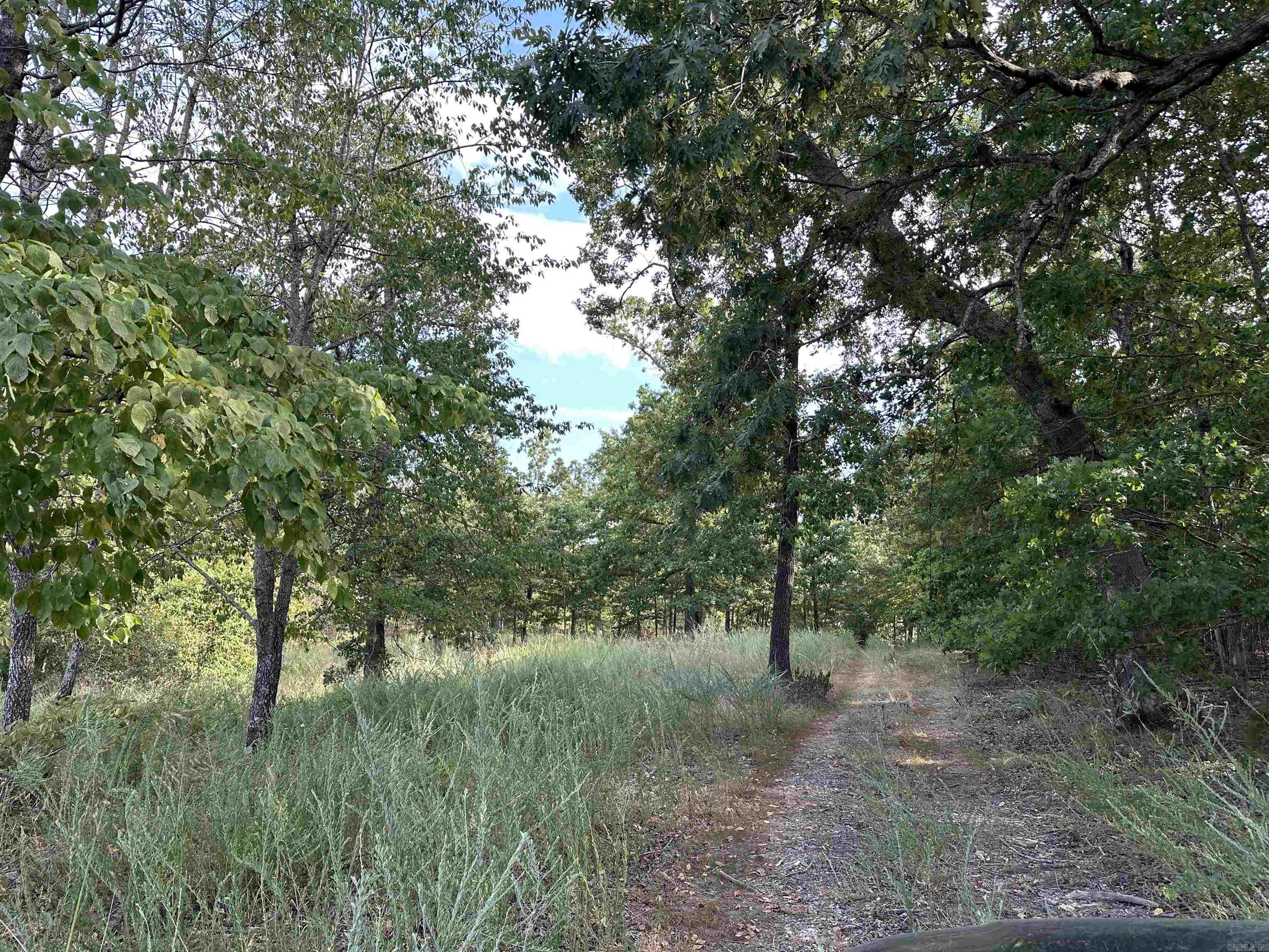 1190 Robinwood Lane  Yellville, AR