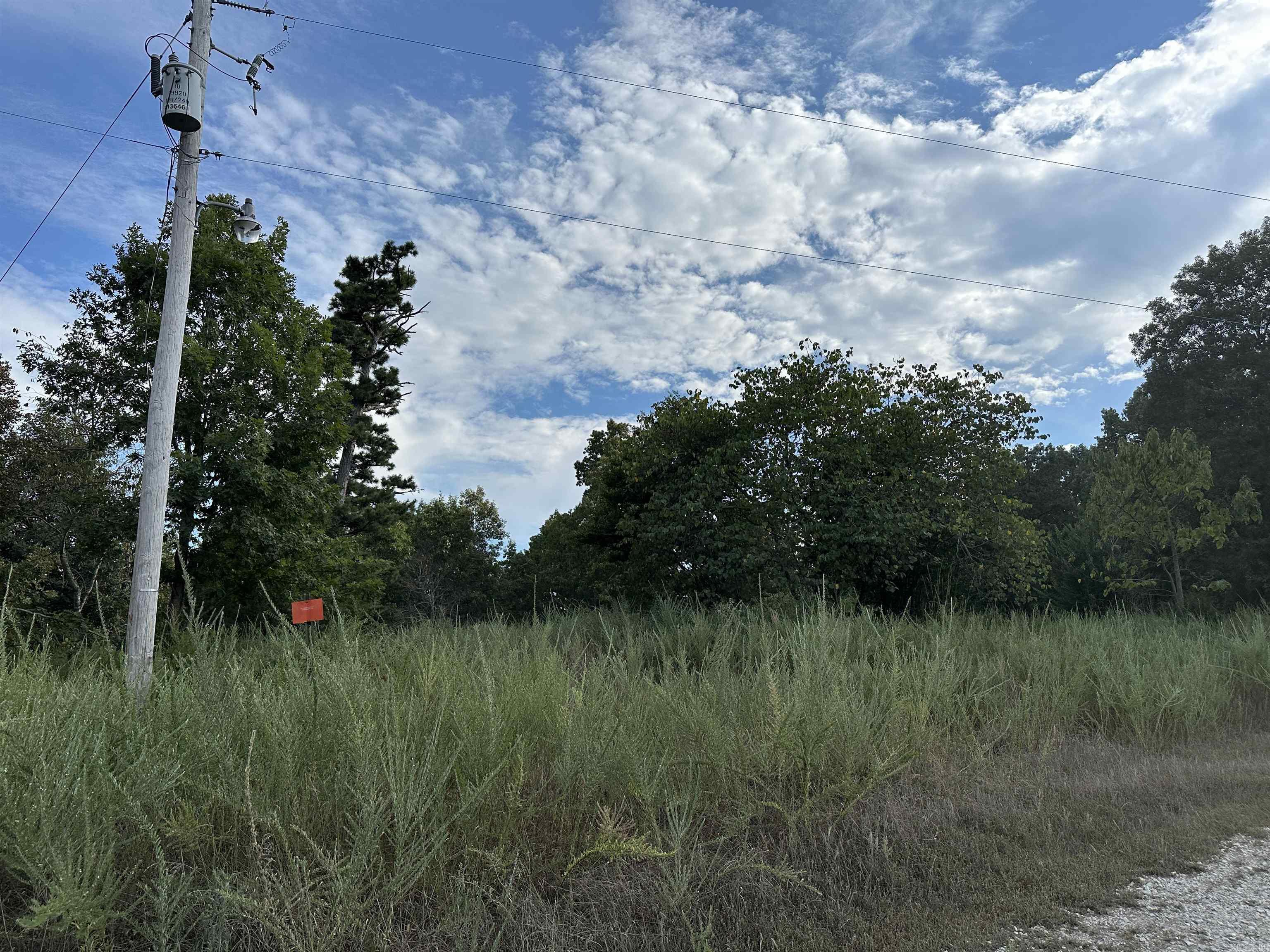 1190 Robinwood Lane  Yellville, AR
