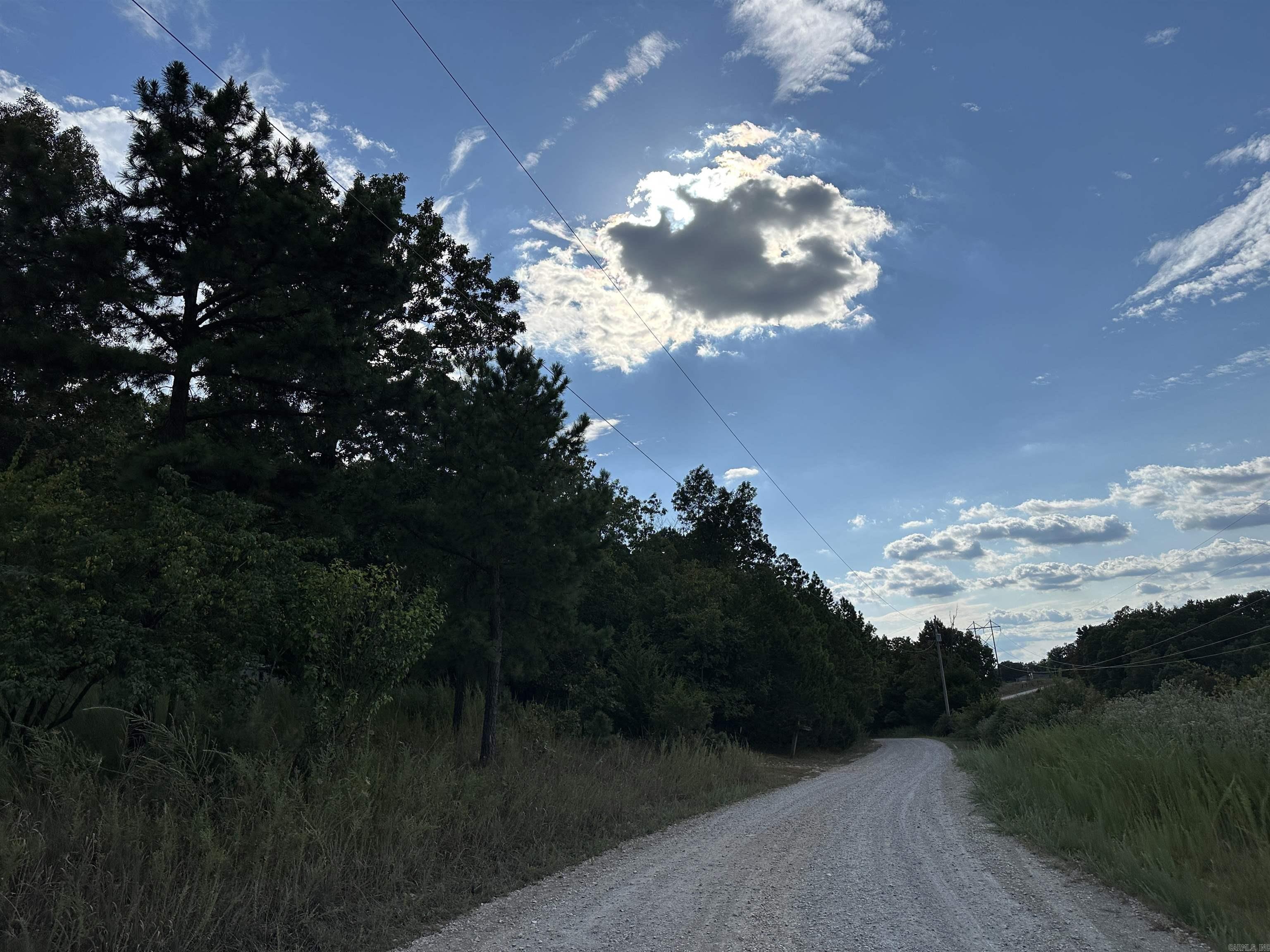 1190 Robinwood Lane  Yellville, AR