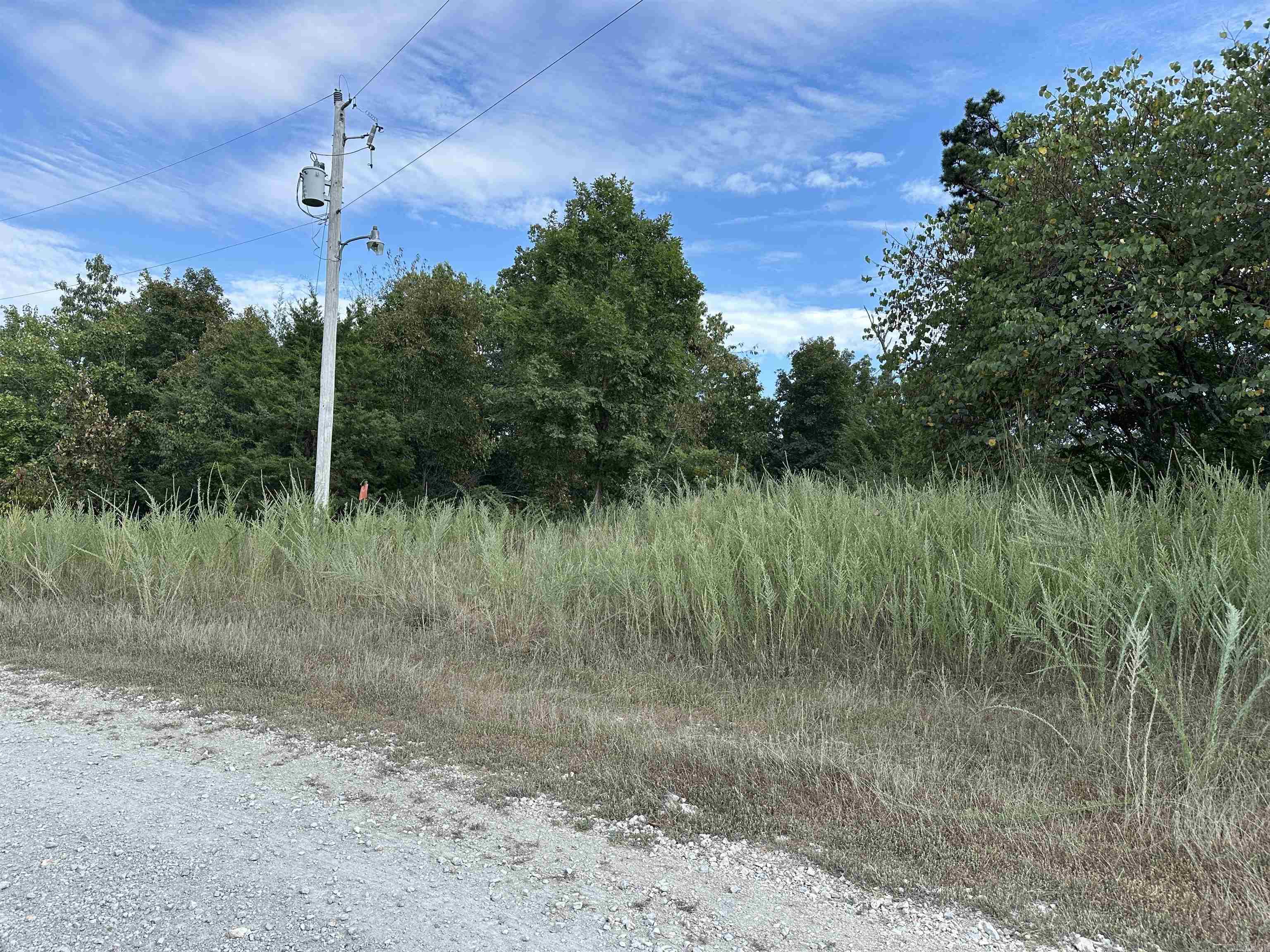 1190 Robinwood Lane  Yellville, AR
