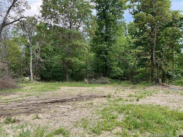 1190 Robinwood Lane  Yellville, AR