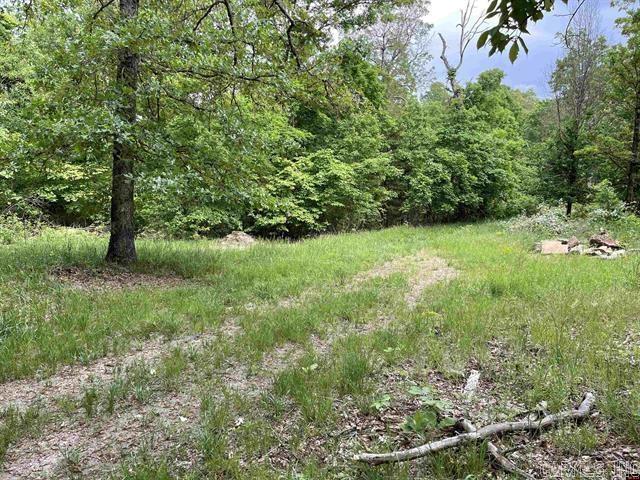 1190 Robinwood Lane  Yellville, AR