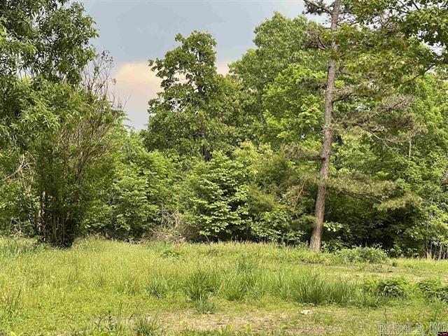 1190 Robinwood Lane  Yellville, AR