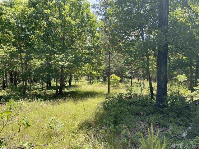 1190 Robinwood Lane  Yellville, AR