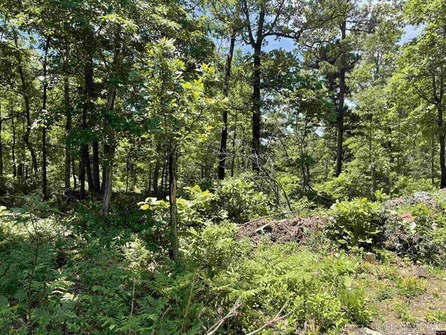 1190 Robinwood Lane  Yellville, AR